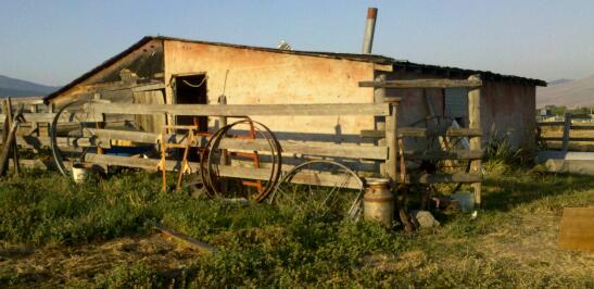 My coop (a work in progress).