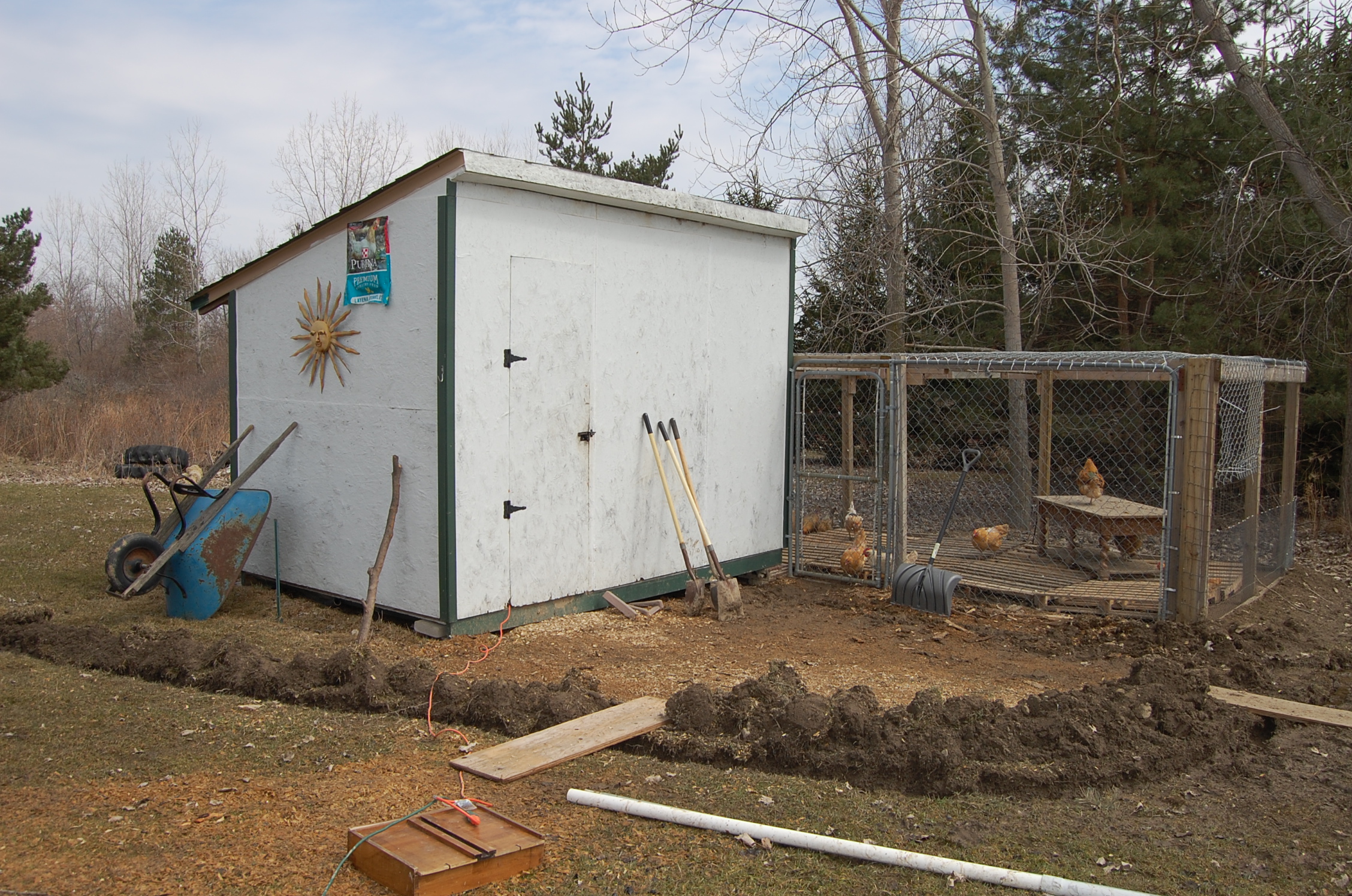 My coop and run front