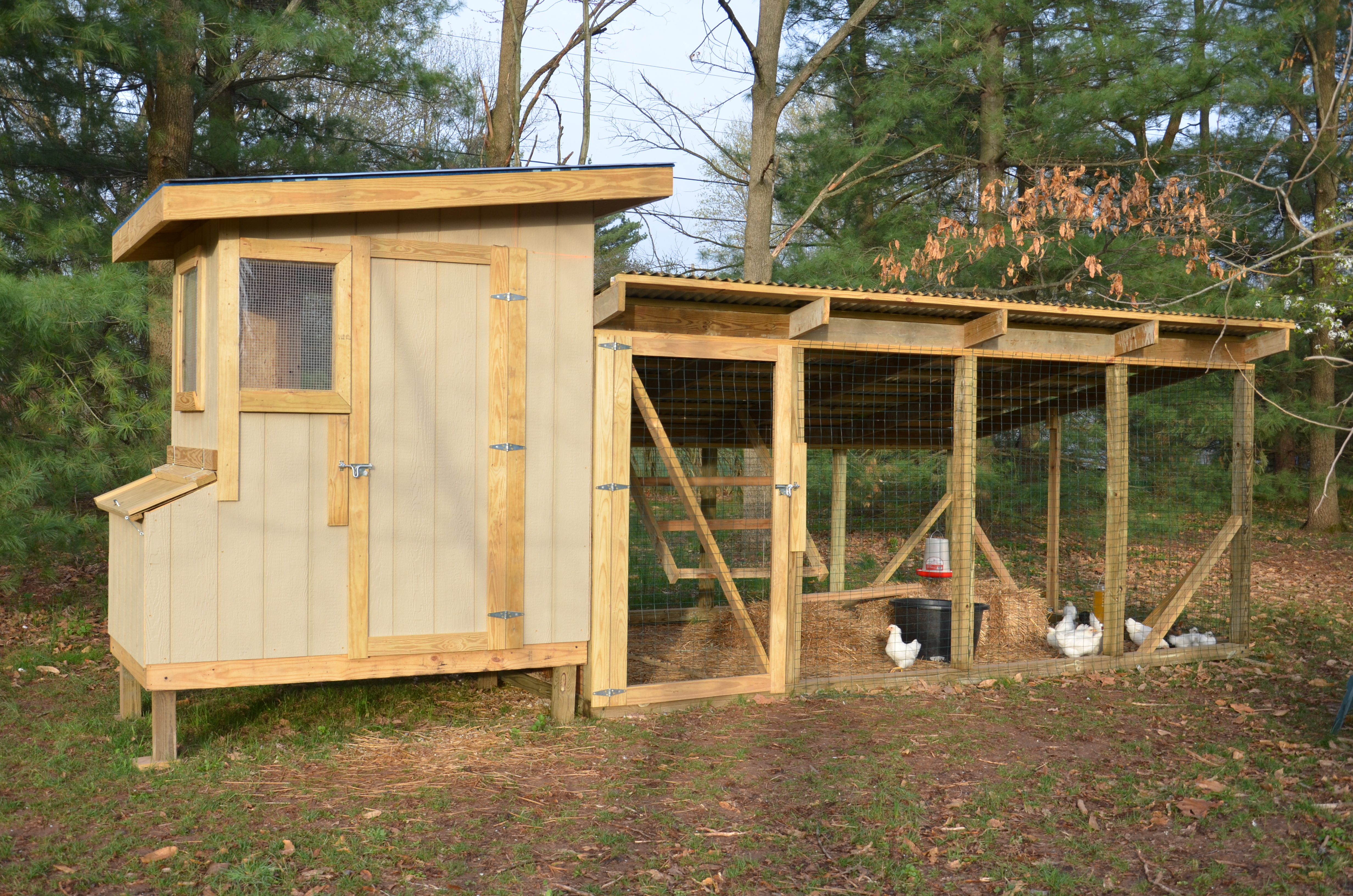 My coop and run.