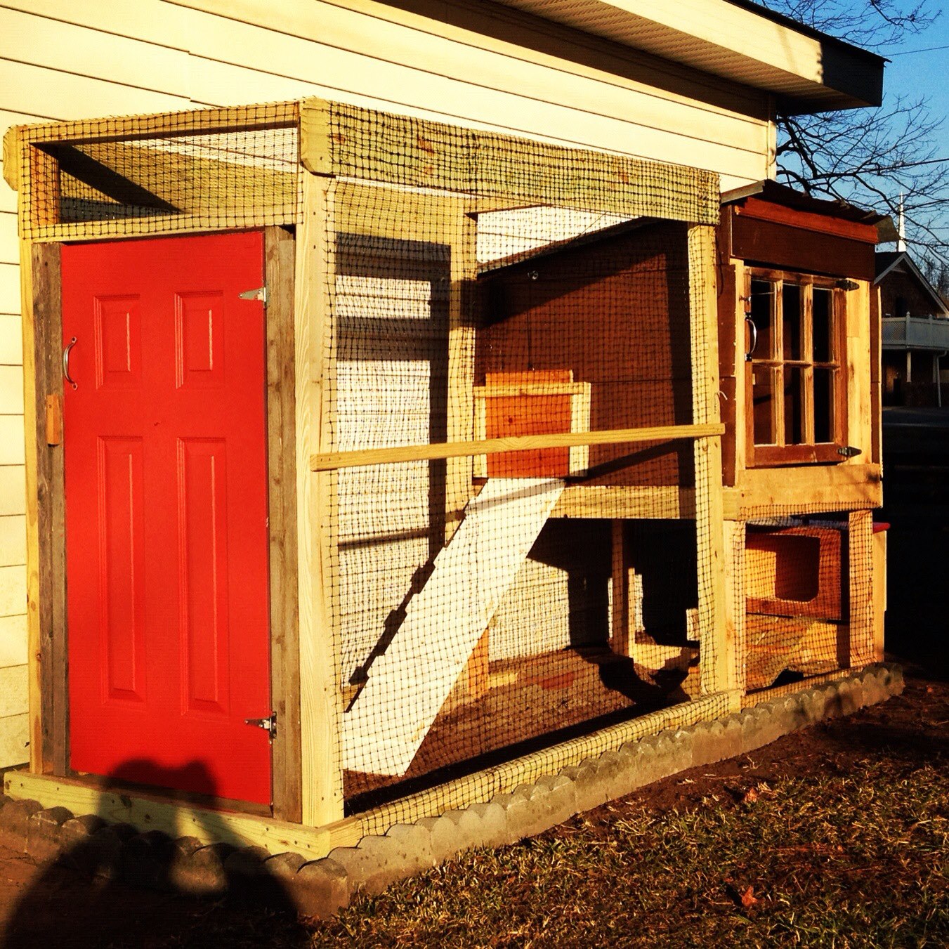My Coop I just finished
