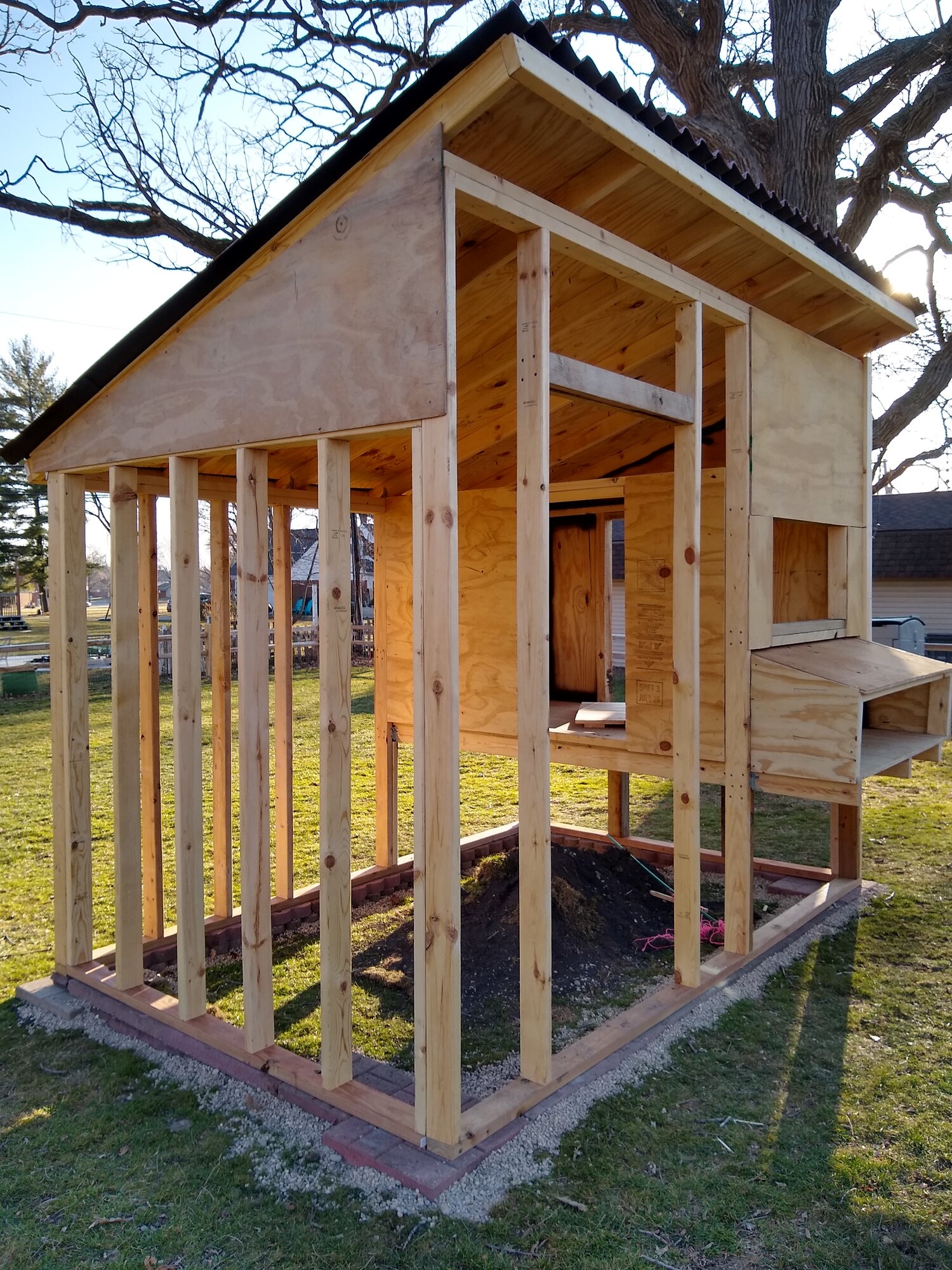 my coop in progress