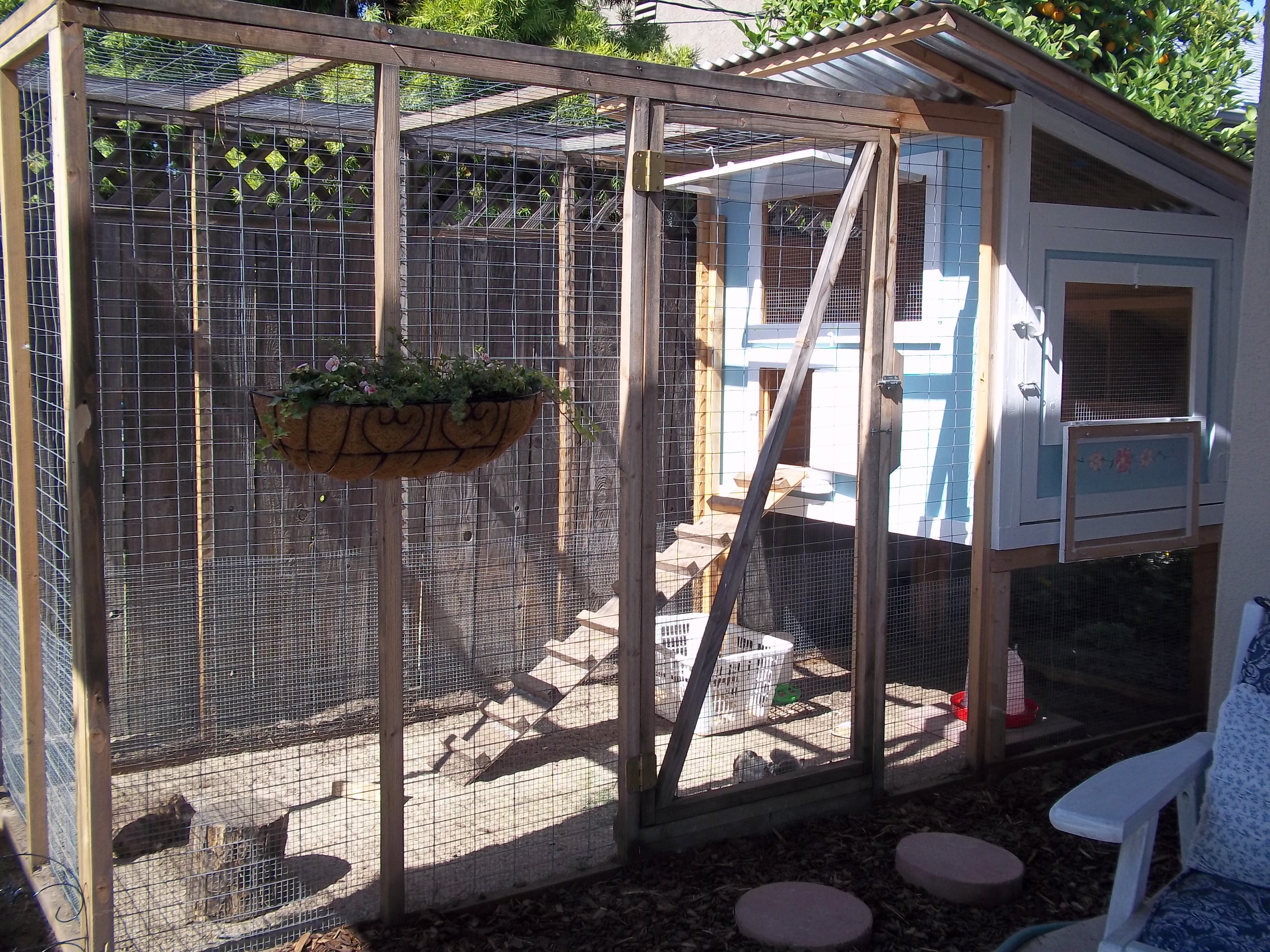 My coop is finally ready!! Boy did I work my butt off getting this set up!