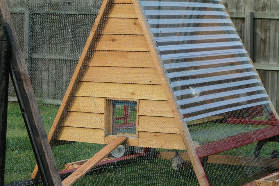 my coop, made from old swing set...
