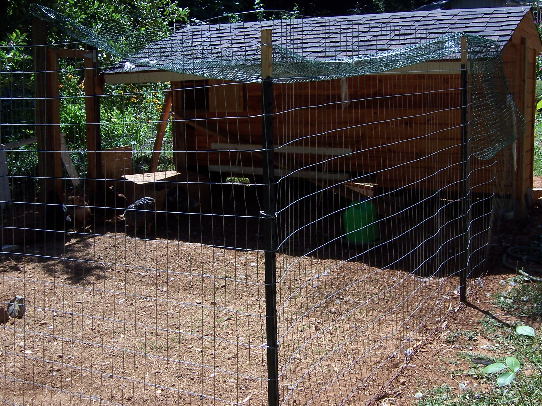 My coop. The run is about 11x14ft.
