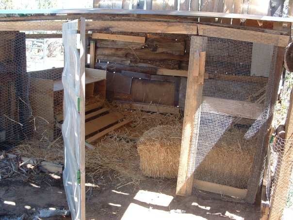 my coop was mainly made out of scrap and rough lumber.
