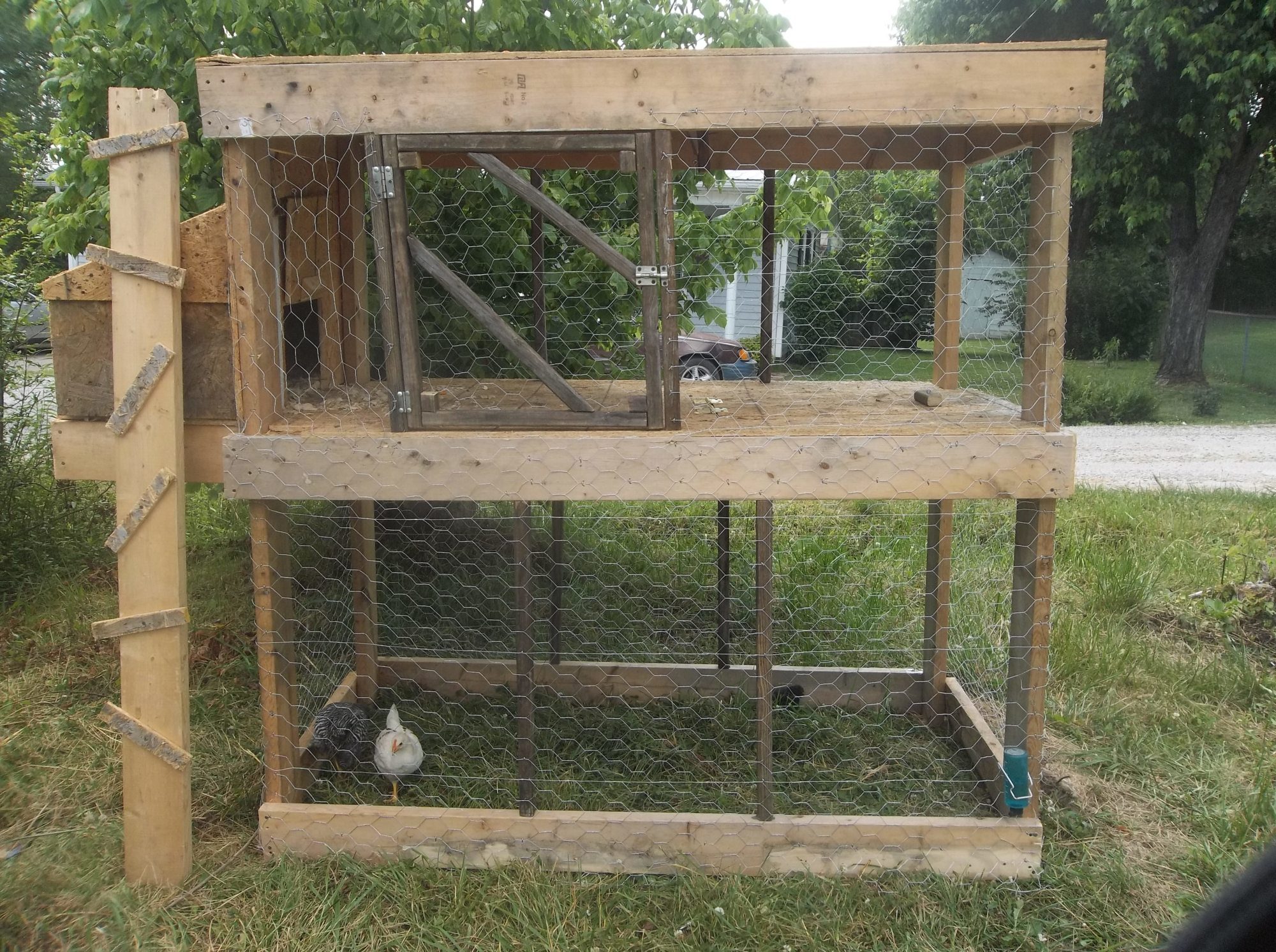 My coop without the ramp in it, its alot bigger then it looks, well my husband can fit in it LOL