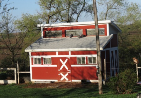 My Coop