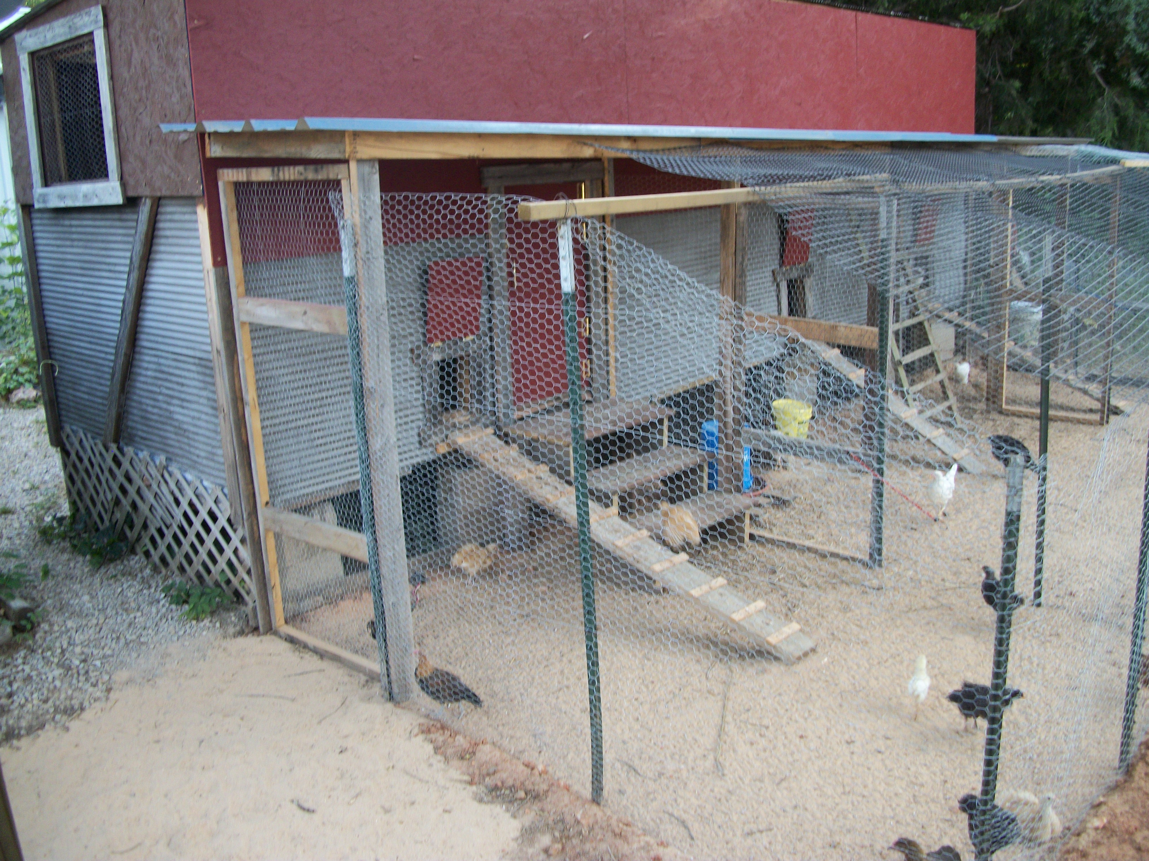my coop