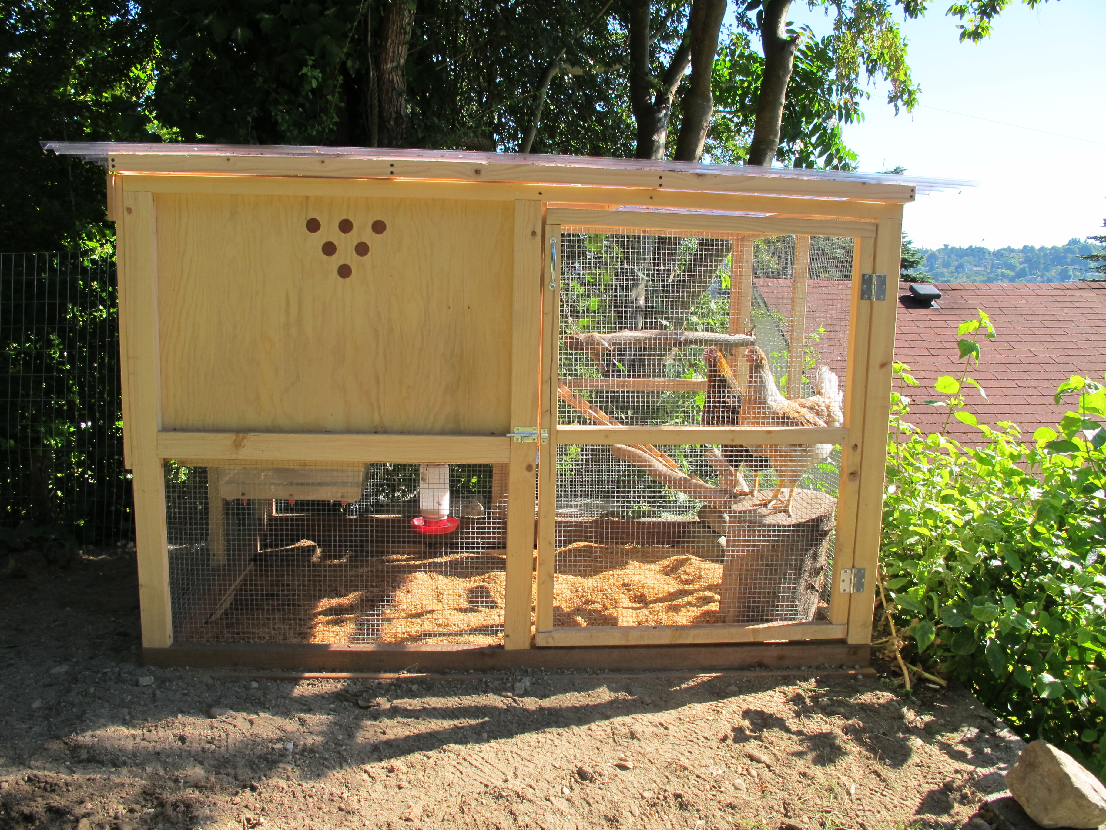 my coop
