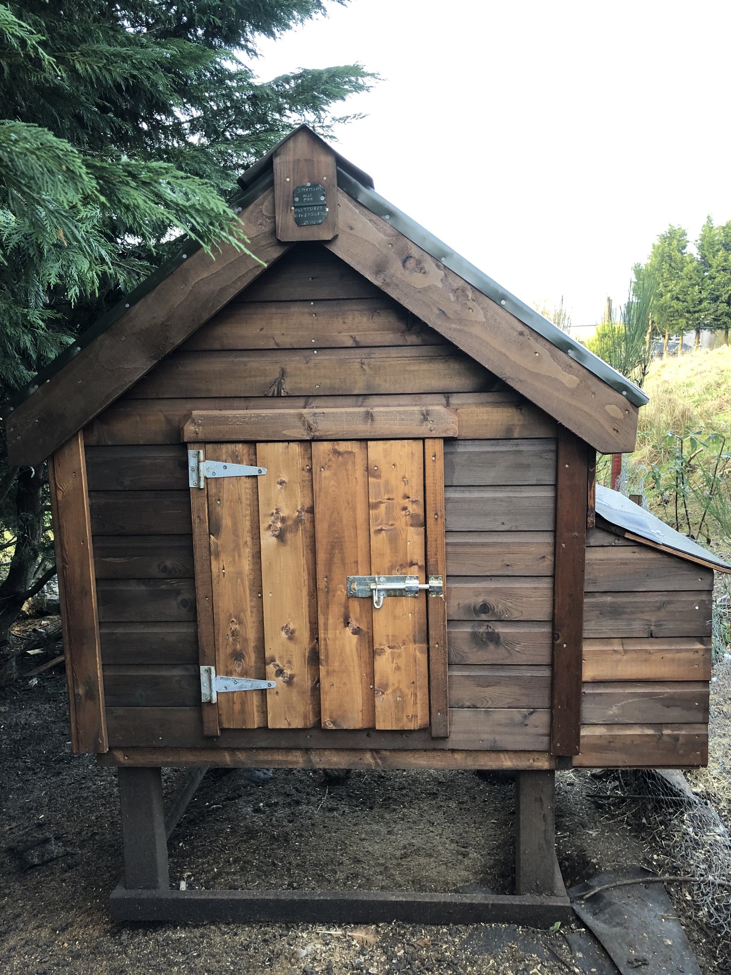 My coop