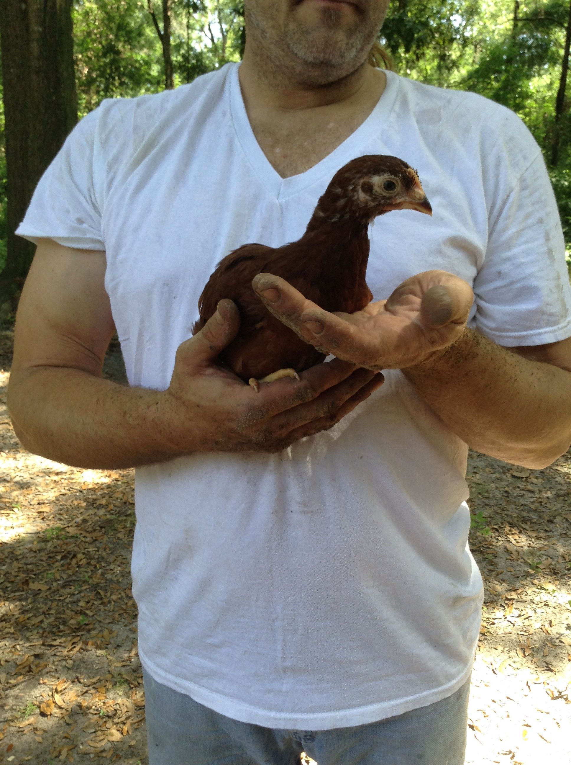 My dad is holding Sochi as she's enjoying it.
