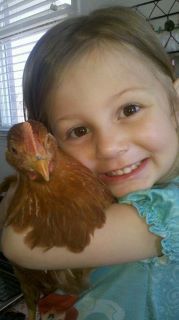 My Daughter and one of our New Hampshire Hens!