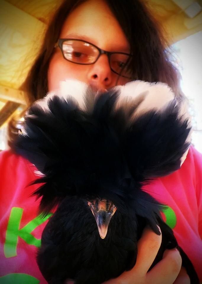 *
My daughter, Lilli, with one of her cresteds.