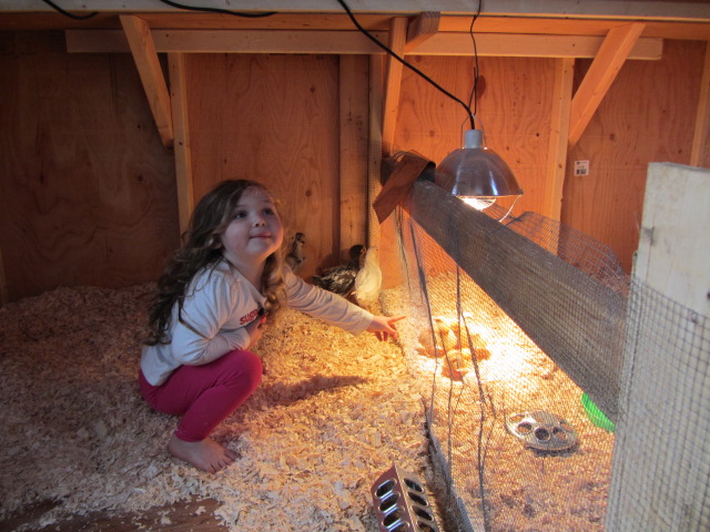 my daughter loves the babies