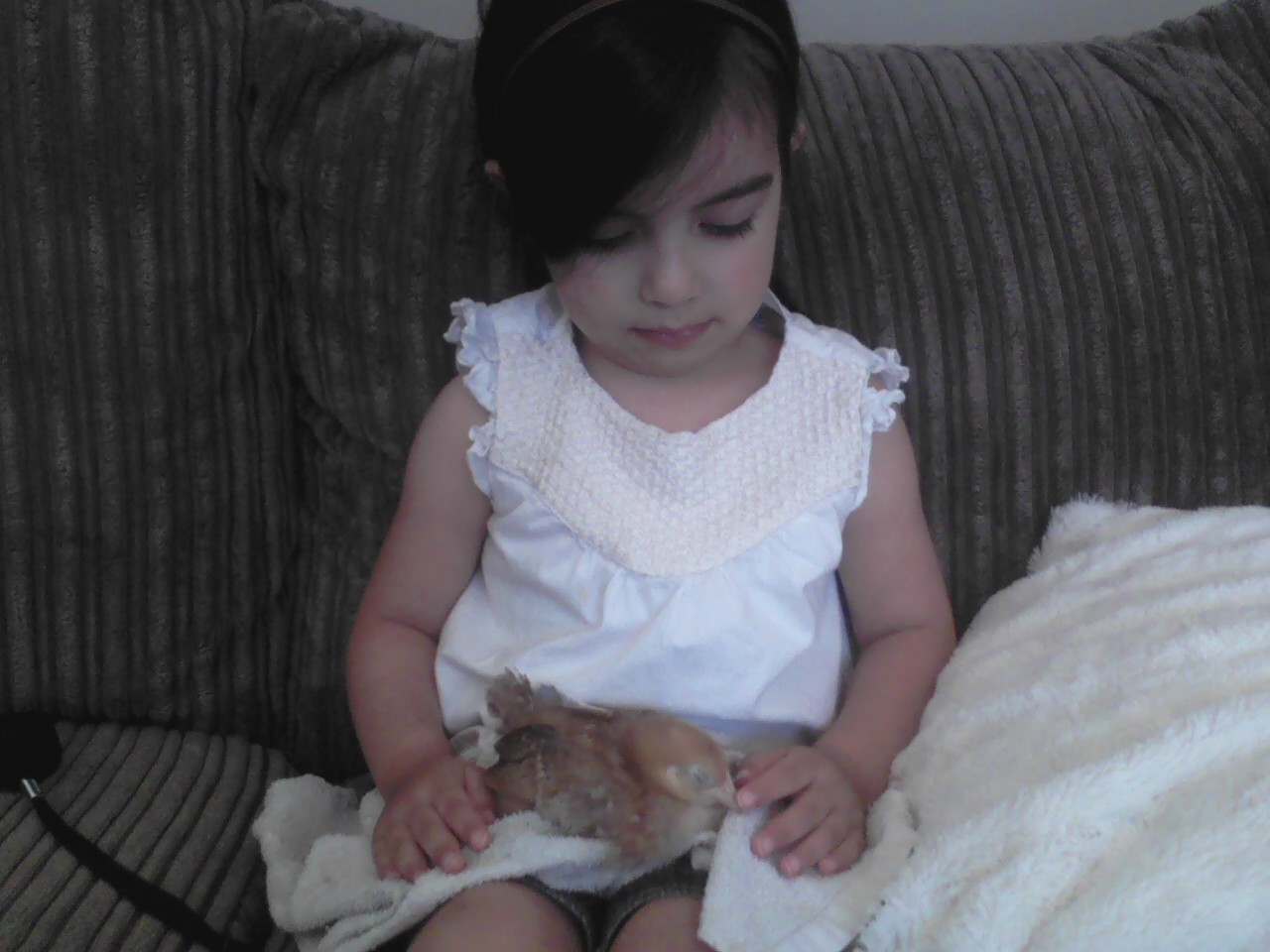 My daughter petting Foxface, our Rhode Island Red.