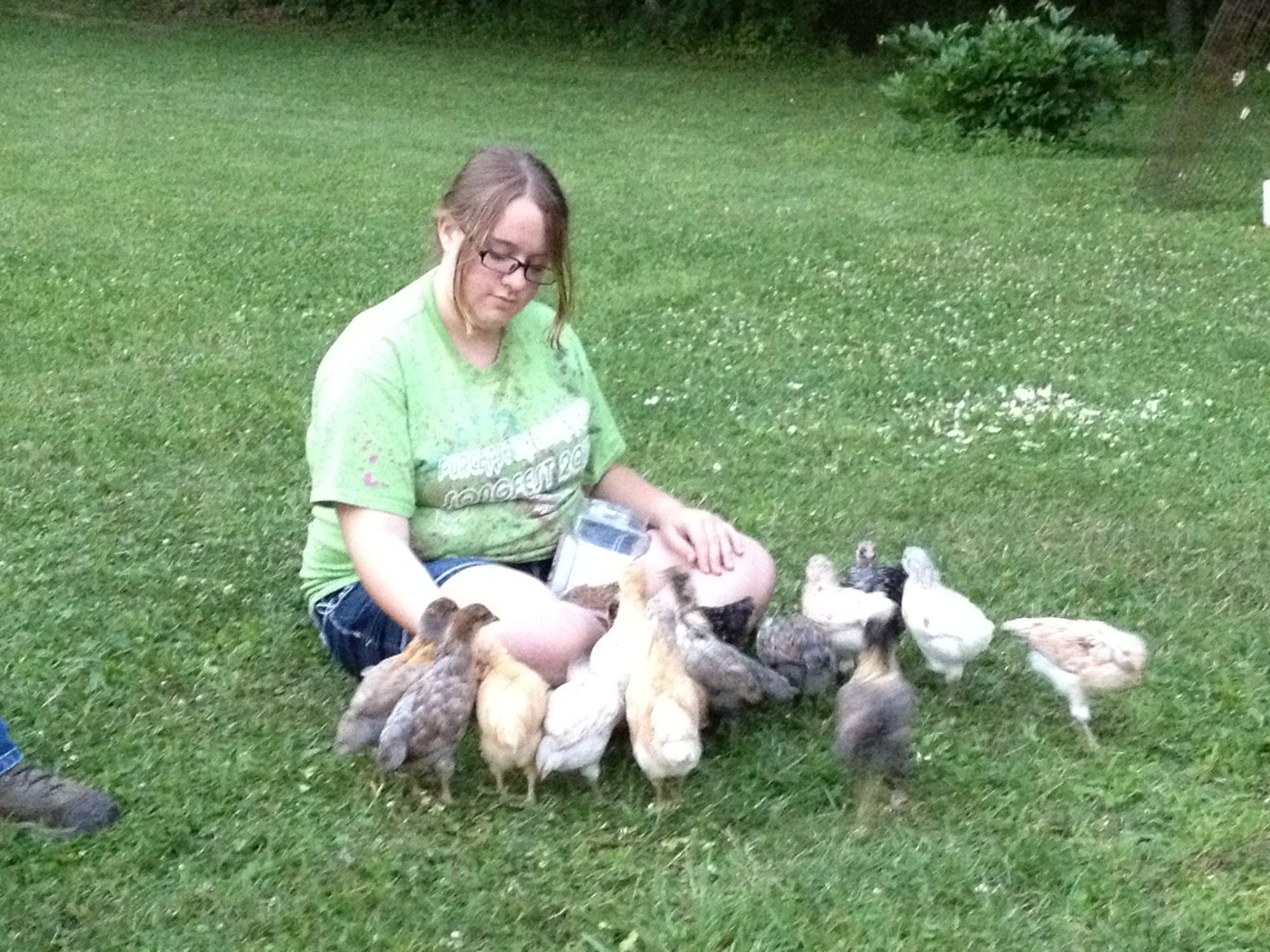 my daughter with the younger flock