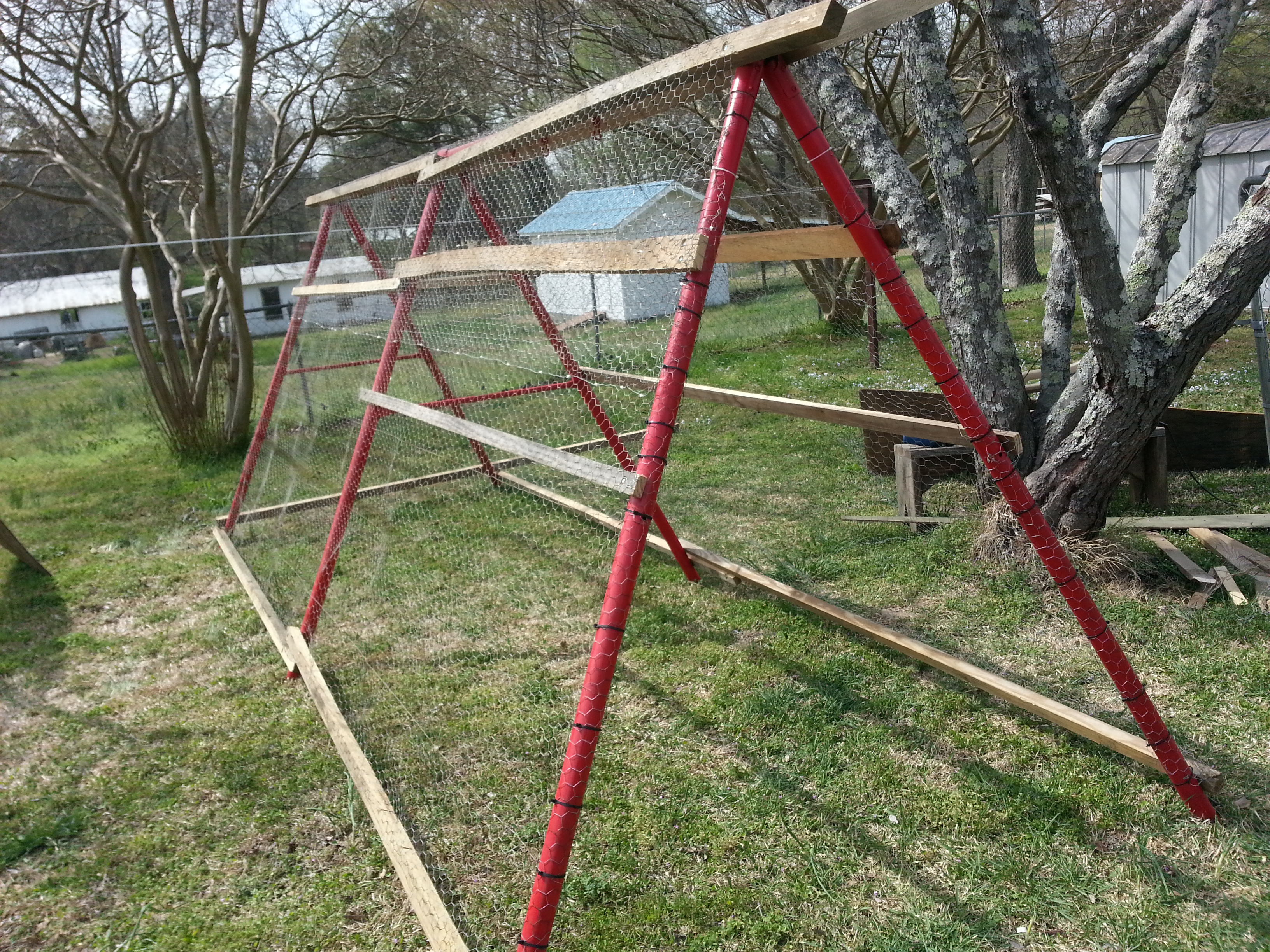 My daughter's old swingset. I turned it into a a "minicoop" to use as a grow-out pen for the bigger chicks before they get to go out to the big coop.