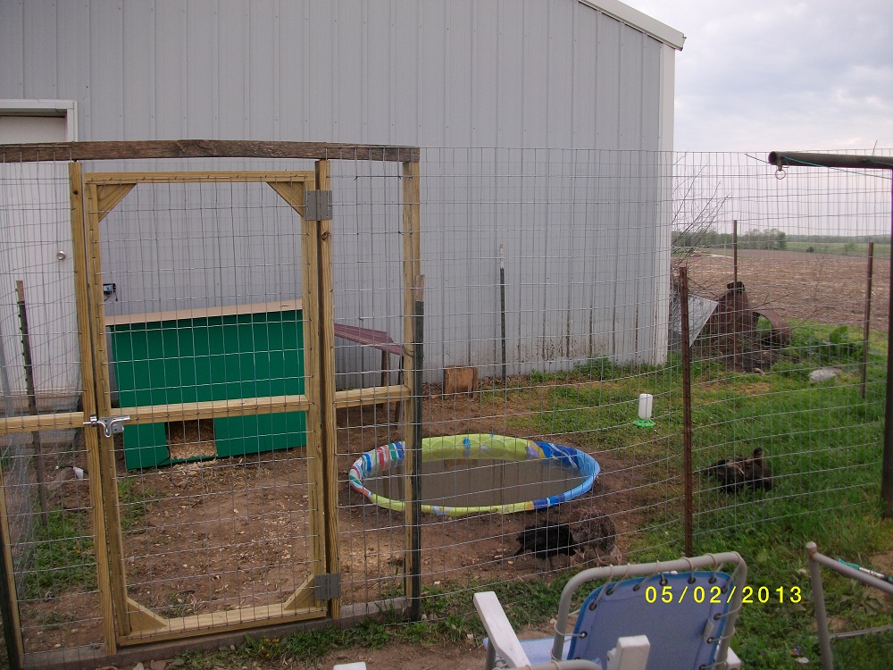 My duck and turkey pen :-)