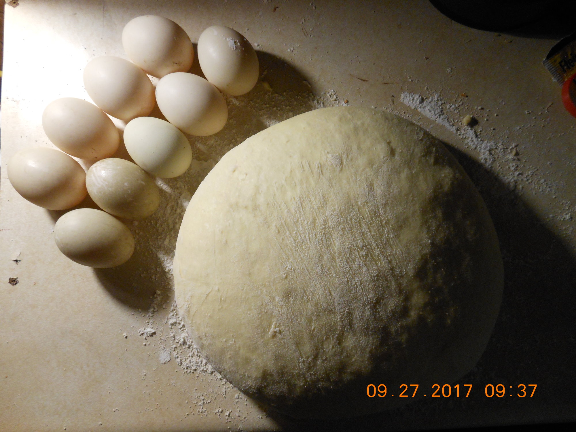 My Ducks Eggs And First Bread