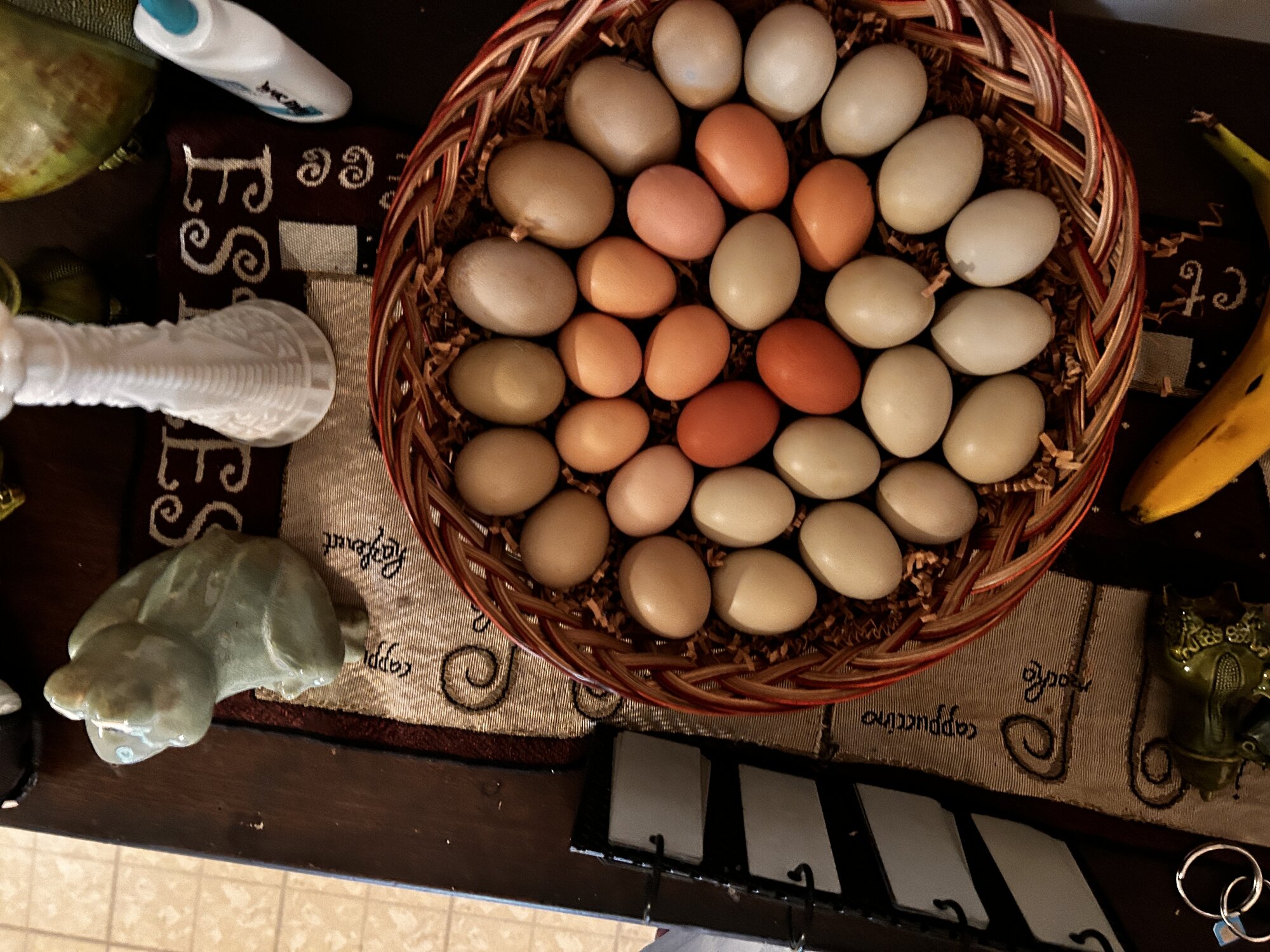 my eggs.JPG
