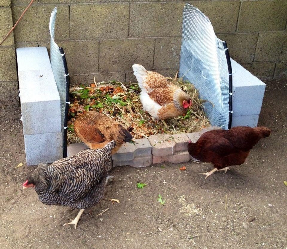 My experimental chomposter. Chickens love it!  Lets see if it actually works.