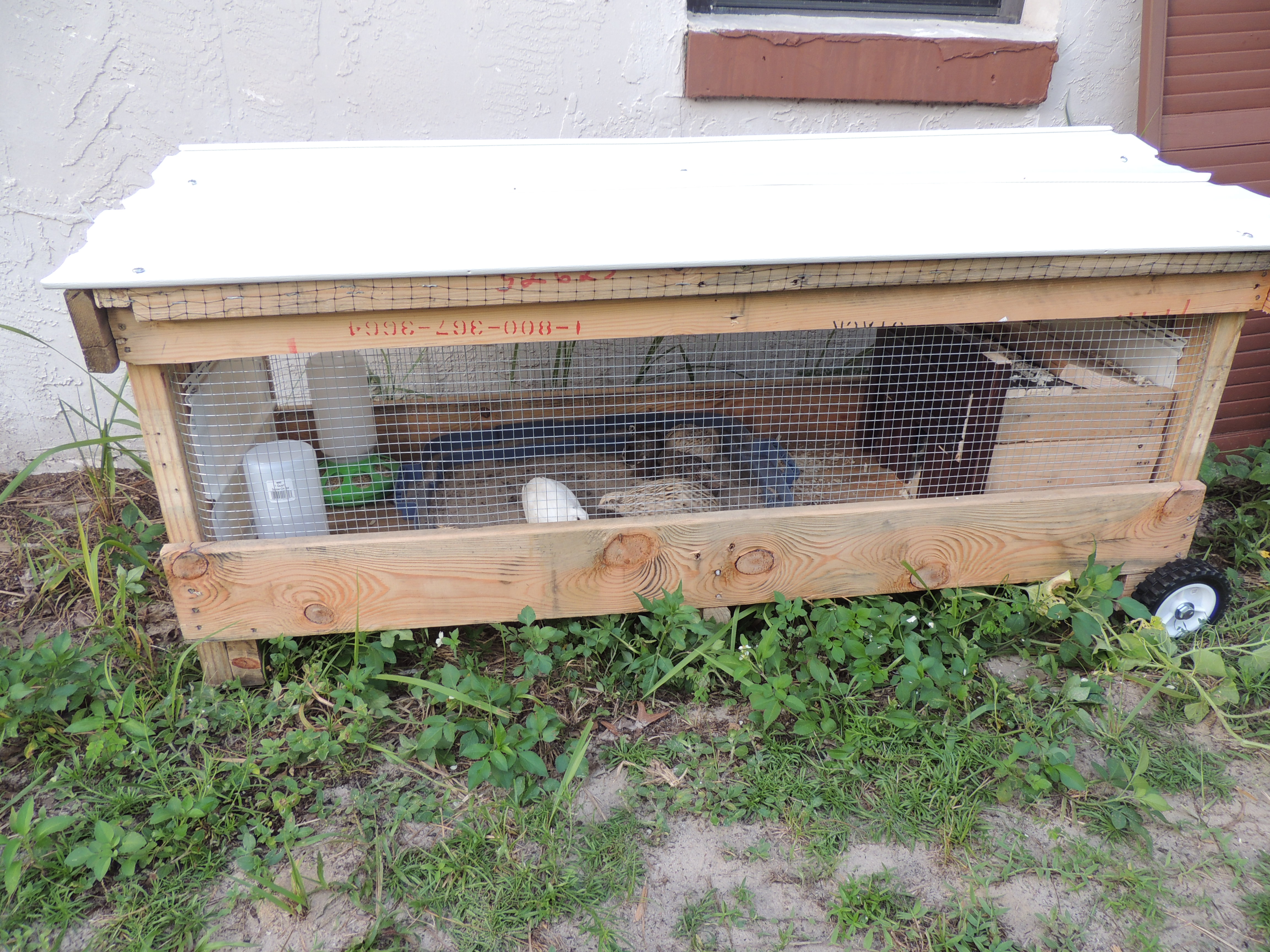 My extremely resourceful hubby made this for me.  Total cost = $30.00!!!!    He used 1 discarded pallet, a shipping crate, and even a tossed out baby crib (for the sleeping box)!  He only had to buy the hardware cloth, wheels, and the vinyl siding for the roof.