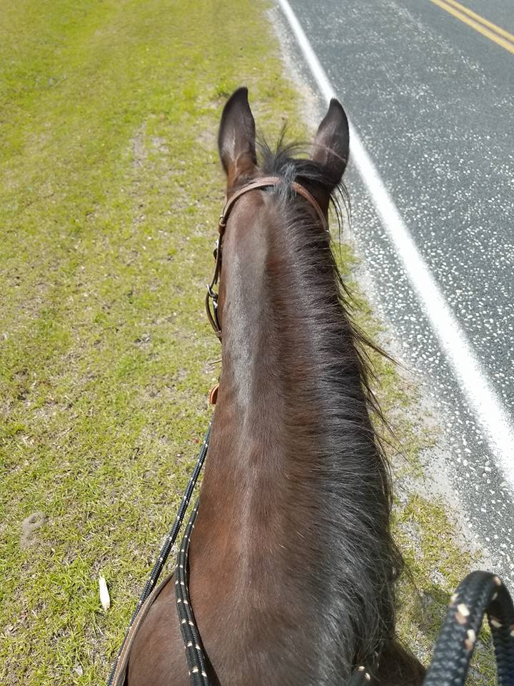 My favorite view