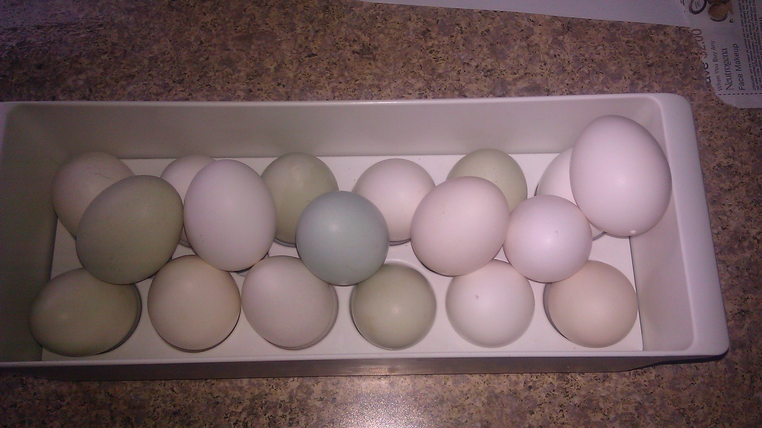 My first blue egg!