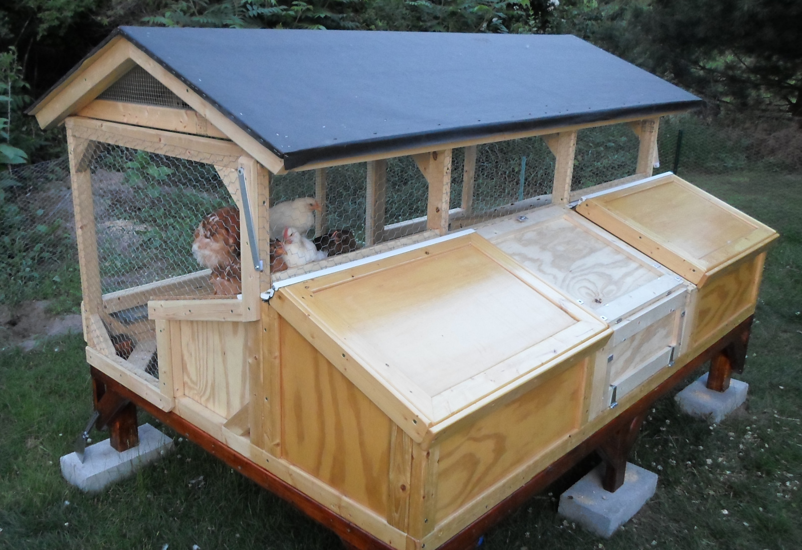 My first chicken coop ever. (Nearly finished; Needs roof and second level floors)