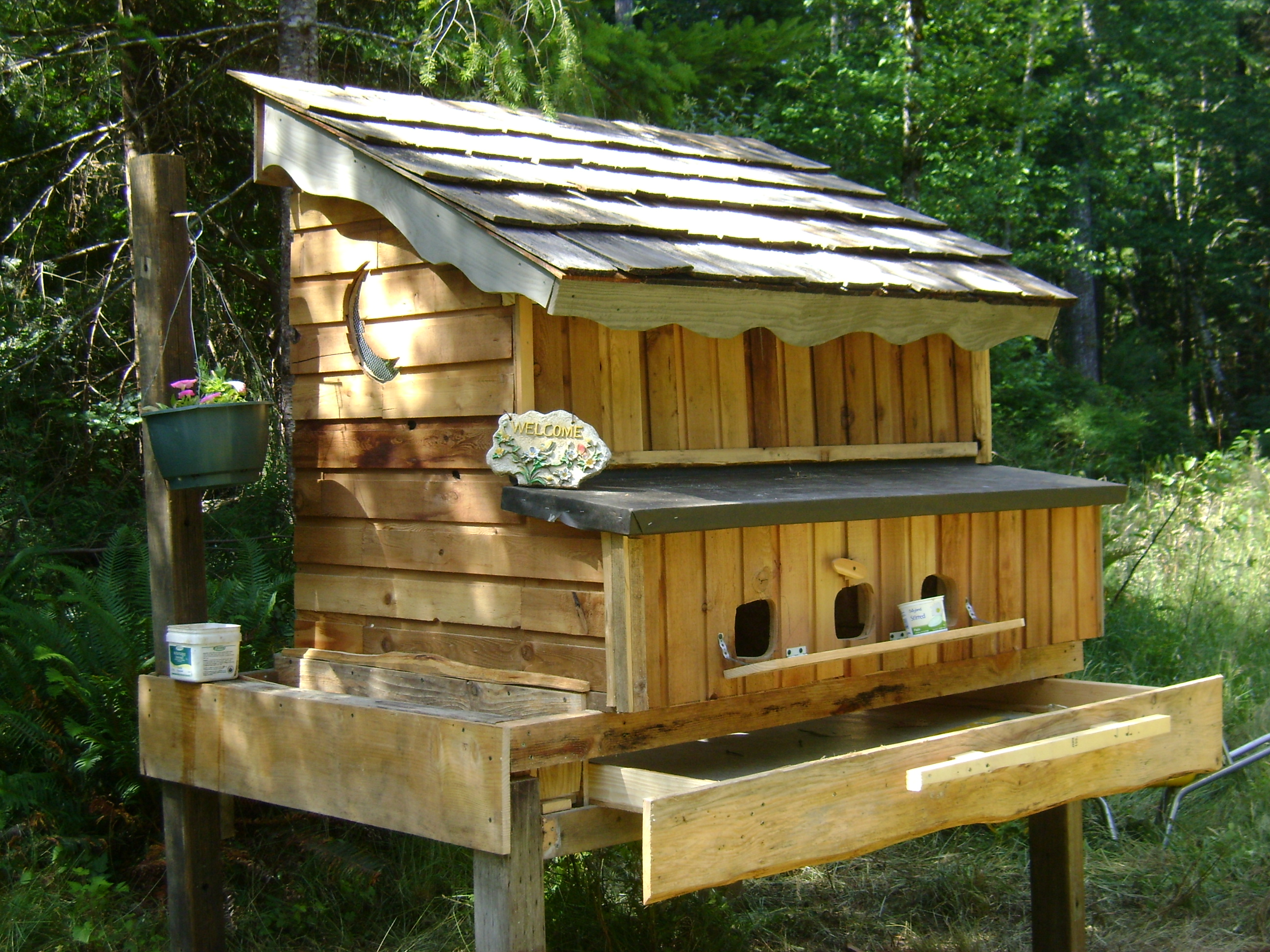 My first chicken coop.... for three bards and my grandaughter and my retirement also