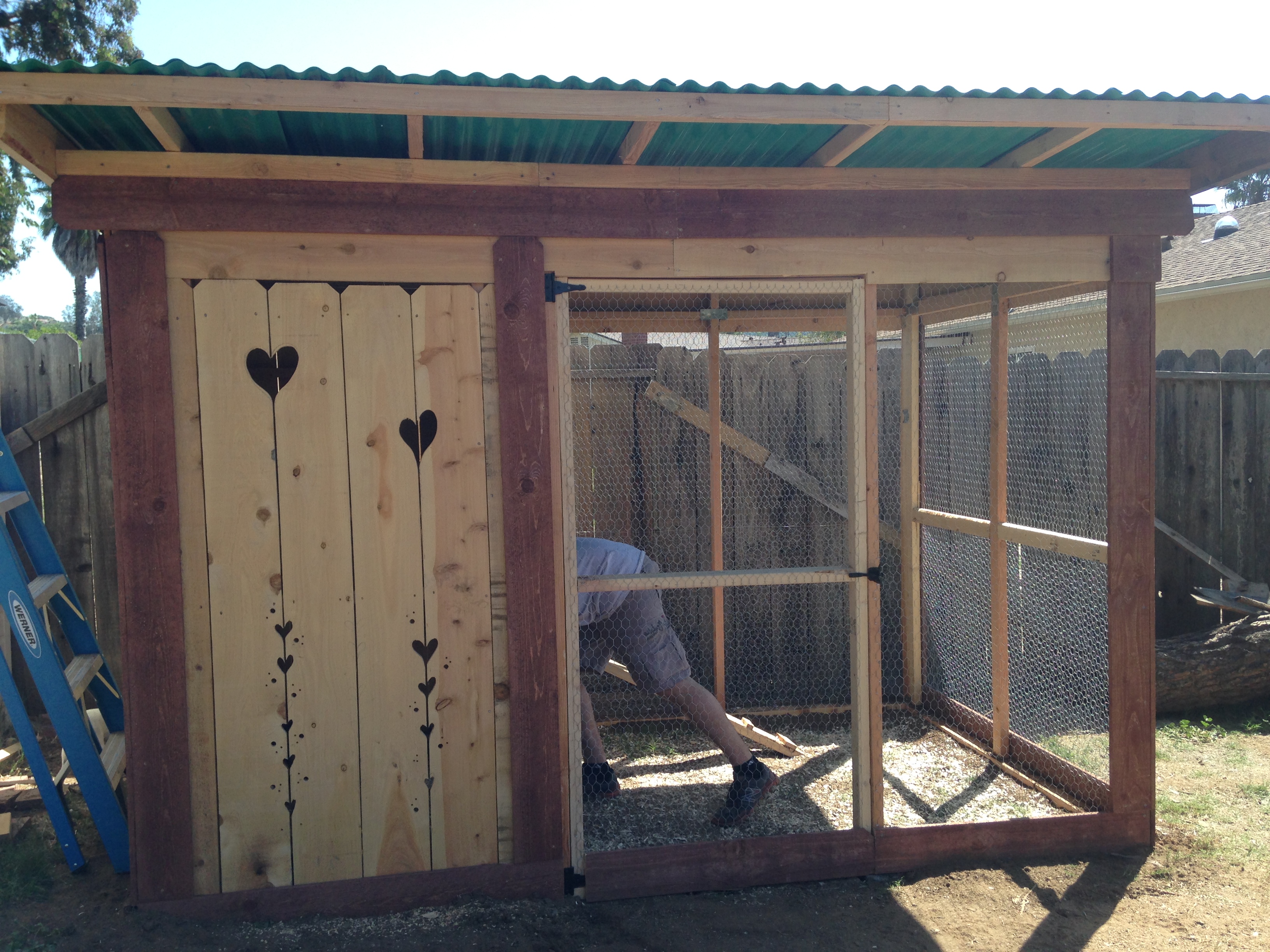 My first Coop that my man built me. =0)