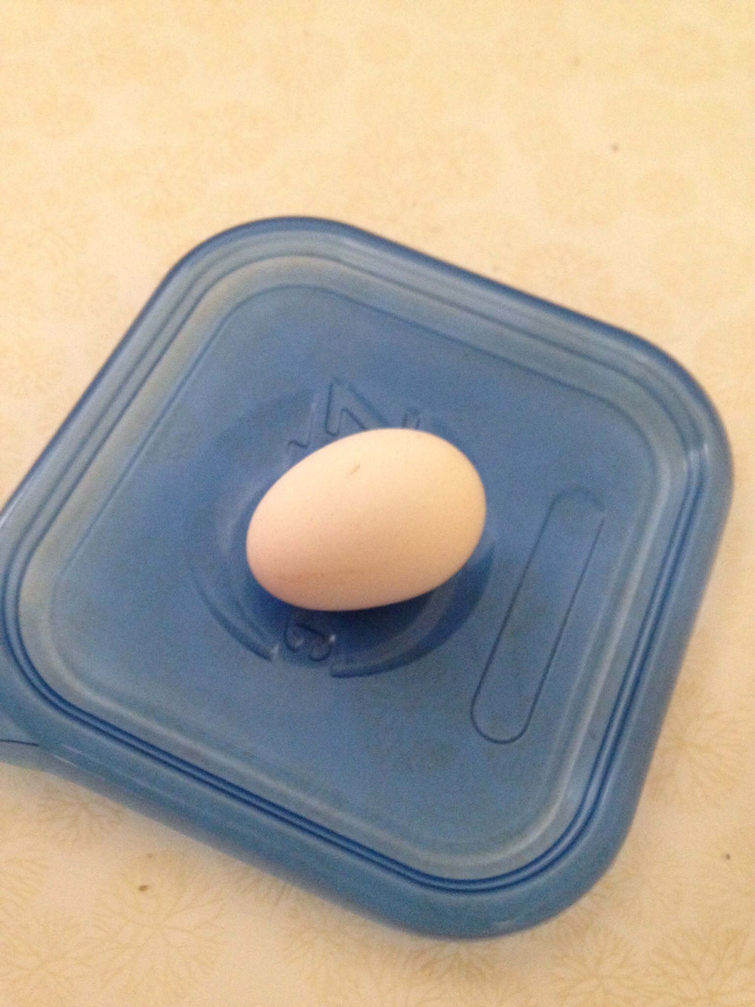 My first egg ever! So exciting!