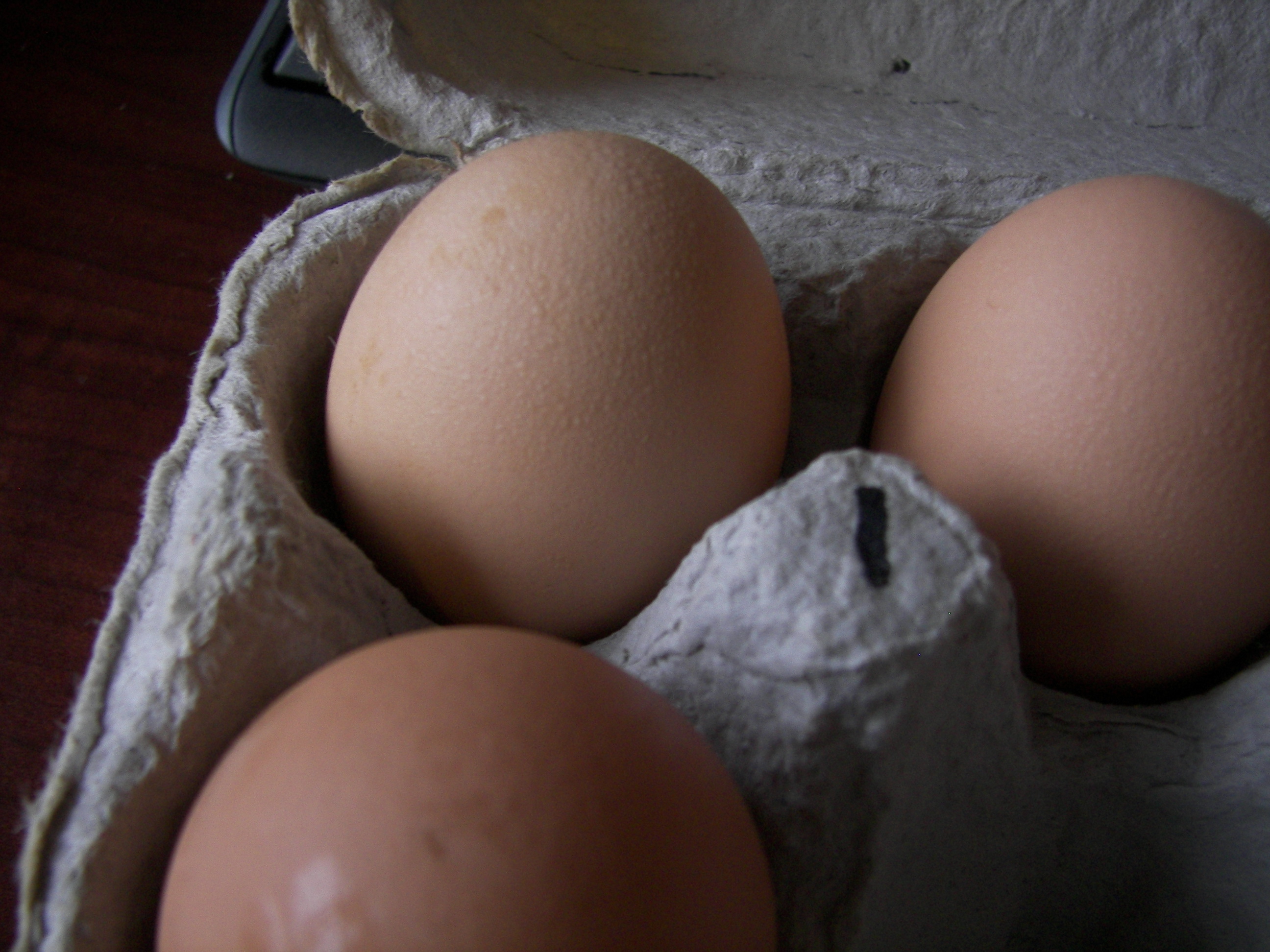 My first egg laid by my big girl "Big Momma"