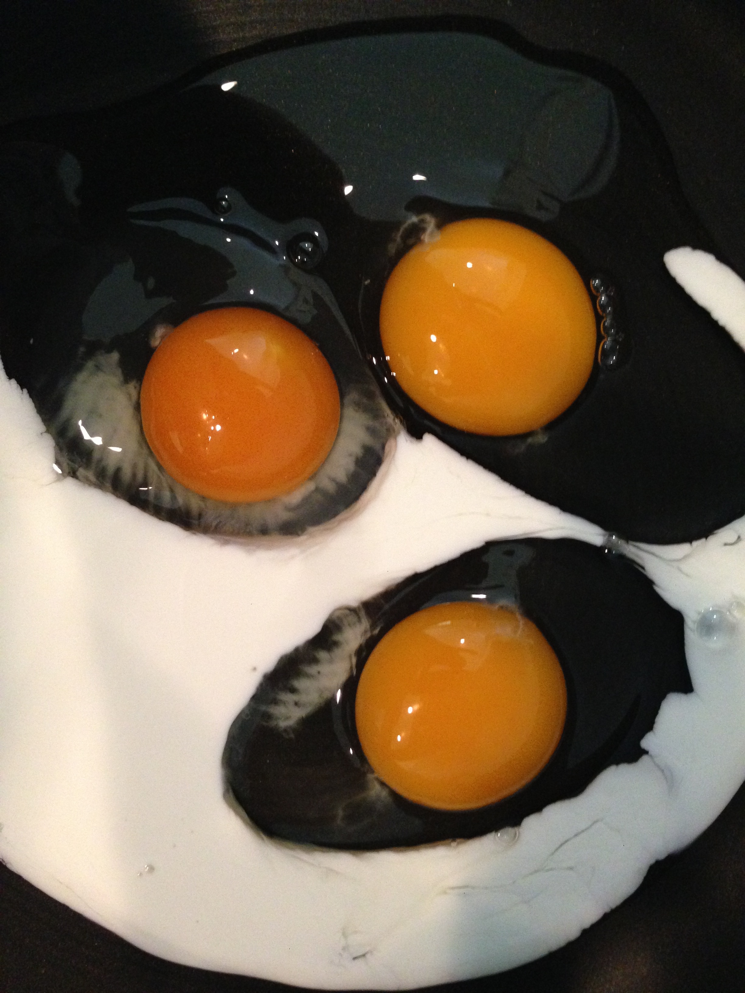 My first egg versus my neighbors.  Mine is the one with the super dark yolk!  I attribute this to the 10,000 sq ft of wooded and grassy space my hens free range on all day long.