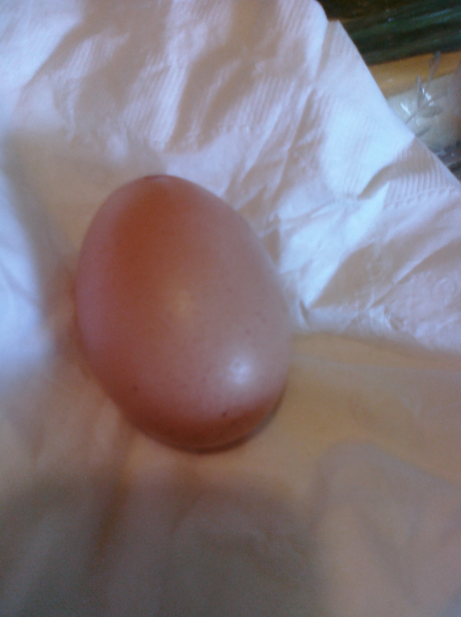 my first egg