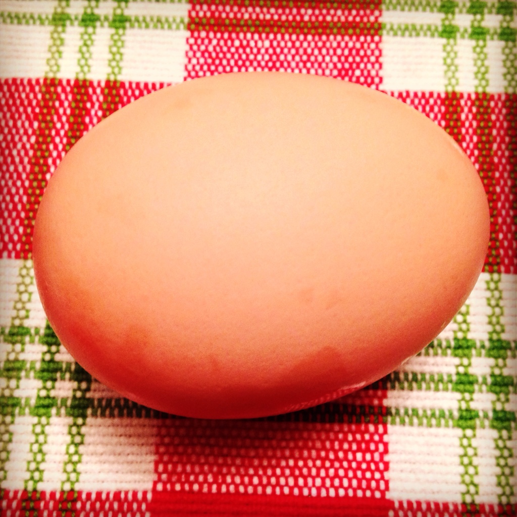 My first egg