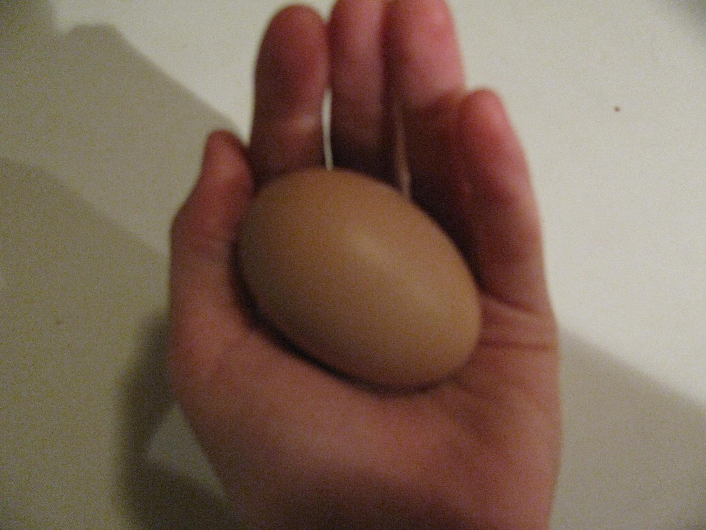My first egg!