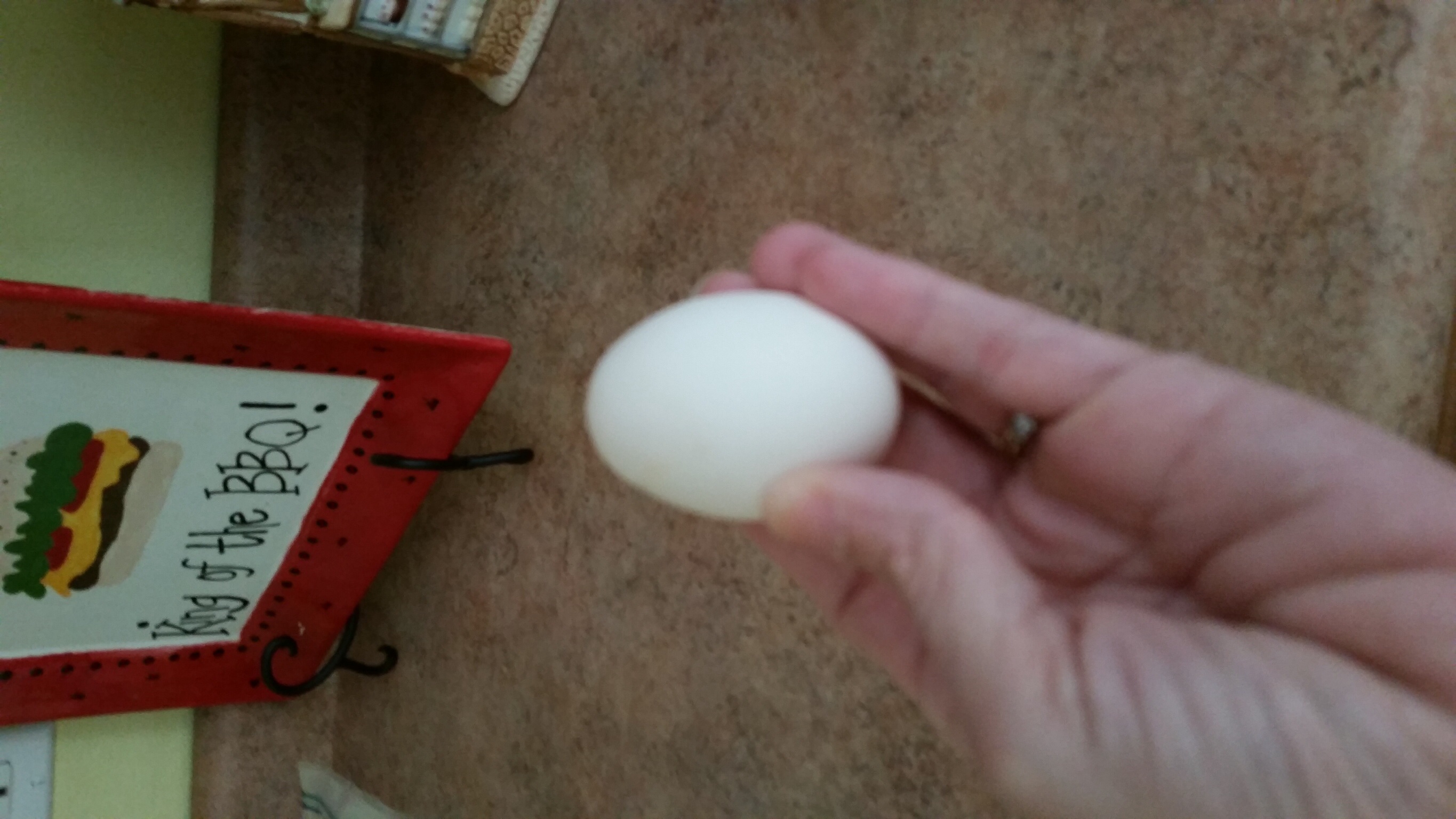 My first egg!!!!