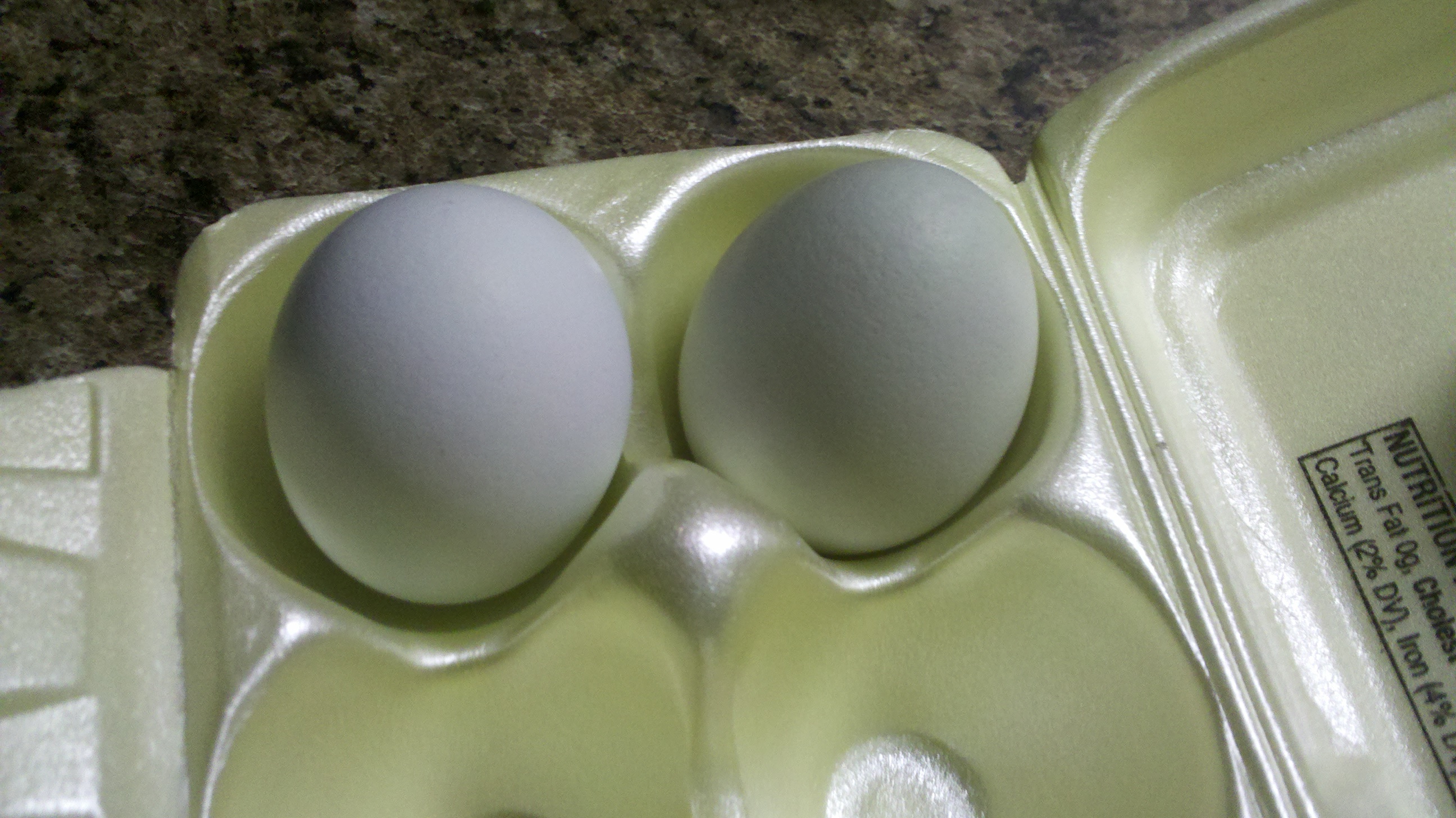 My first eggs! 6/11/12. Two of my EEs, within hours of me bringing them home. (14-15 months old)