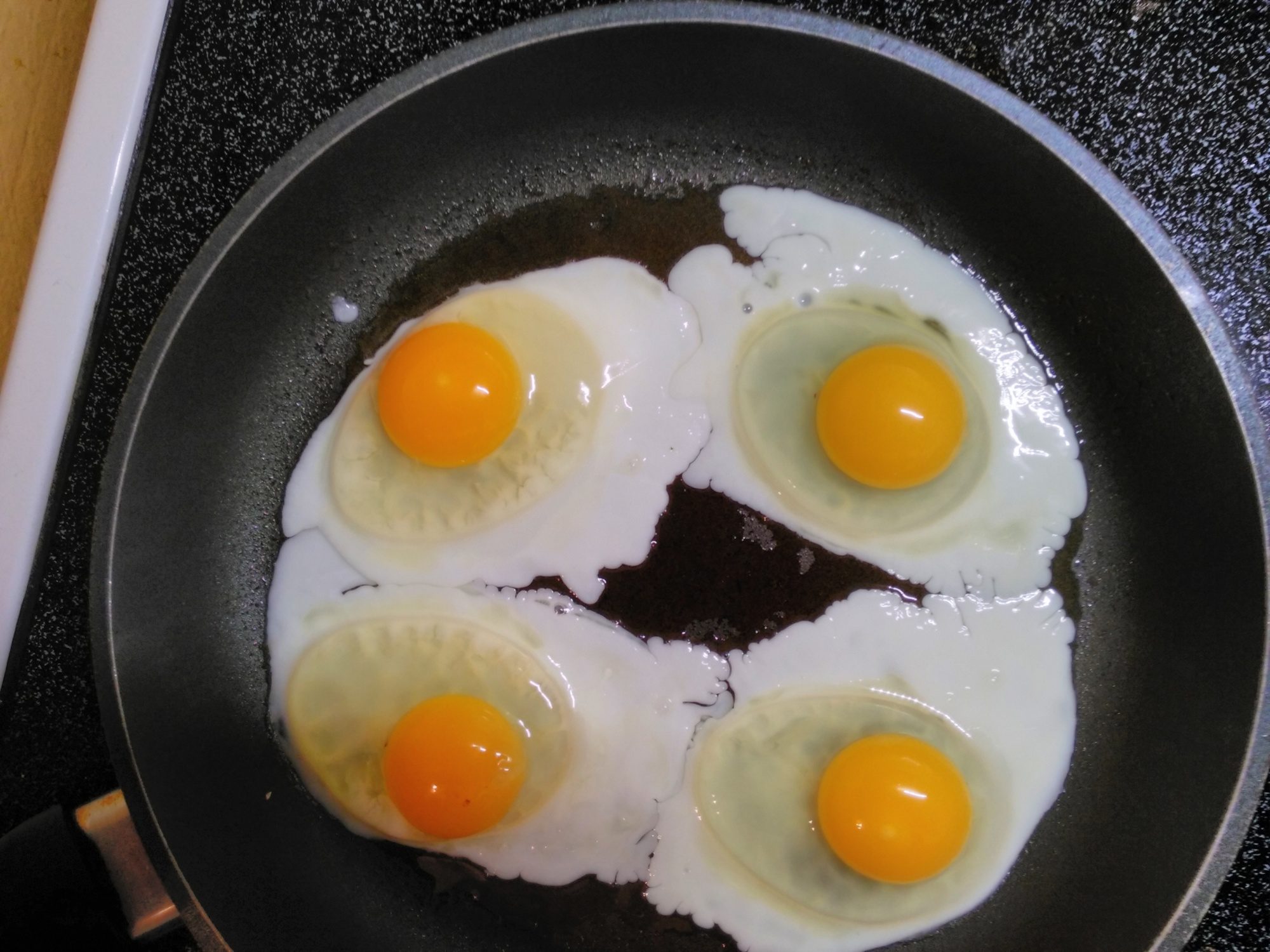 My first eggs, small but delicious.  2 of 6 girls are laying now, others are close too.  My egg shells were the hardest I have ever cracked.  No oyster shell either, just the Highland non GMO food.