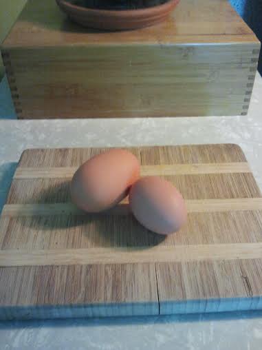 My first eggs! this was the best day EVER!