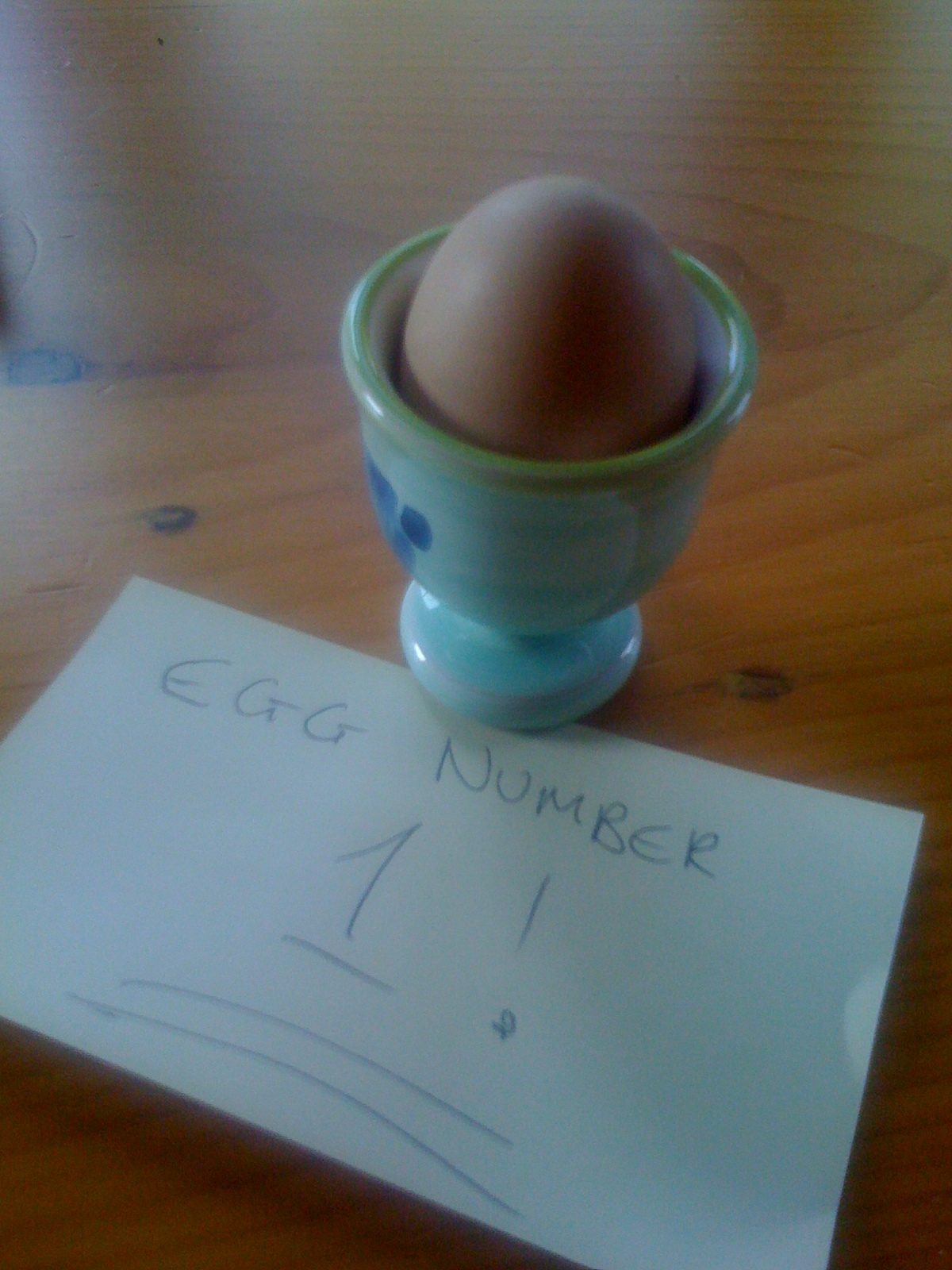 My first ever backyard egg!!