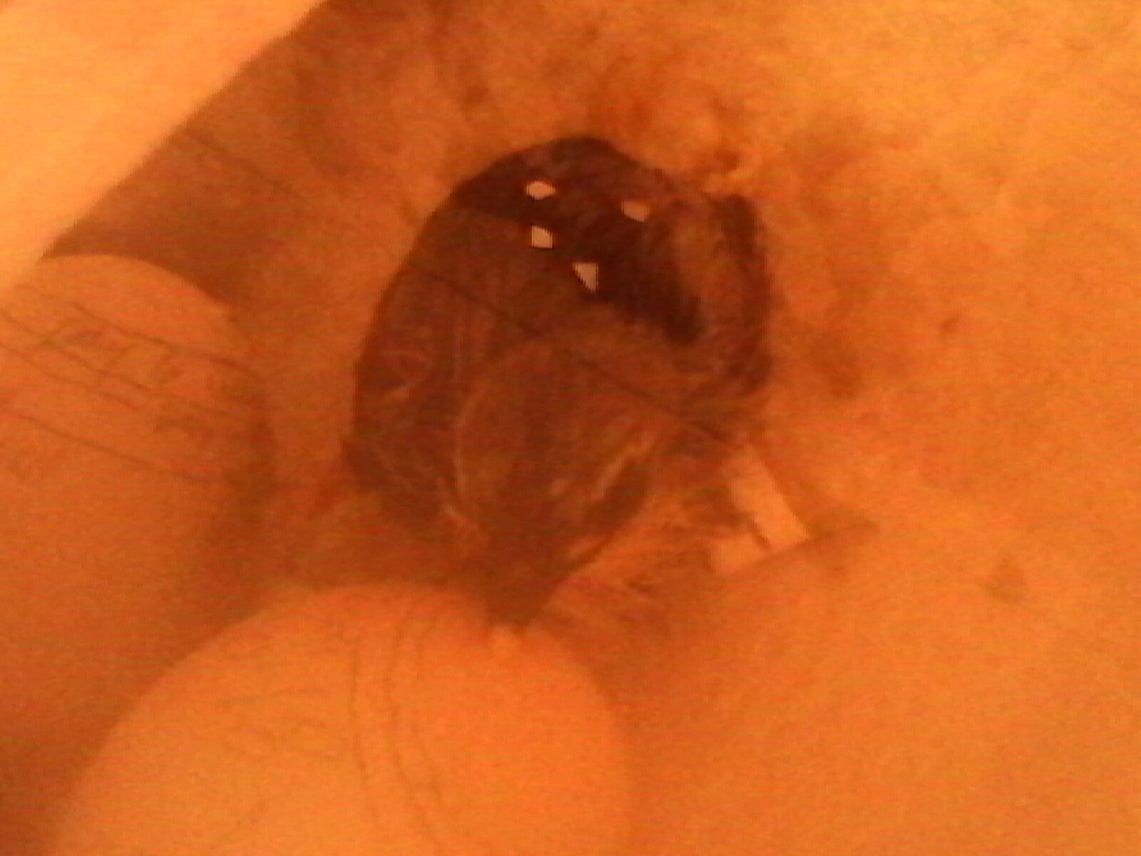 My first hatch!! Wow!! Exciting!!