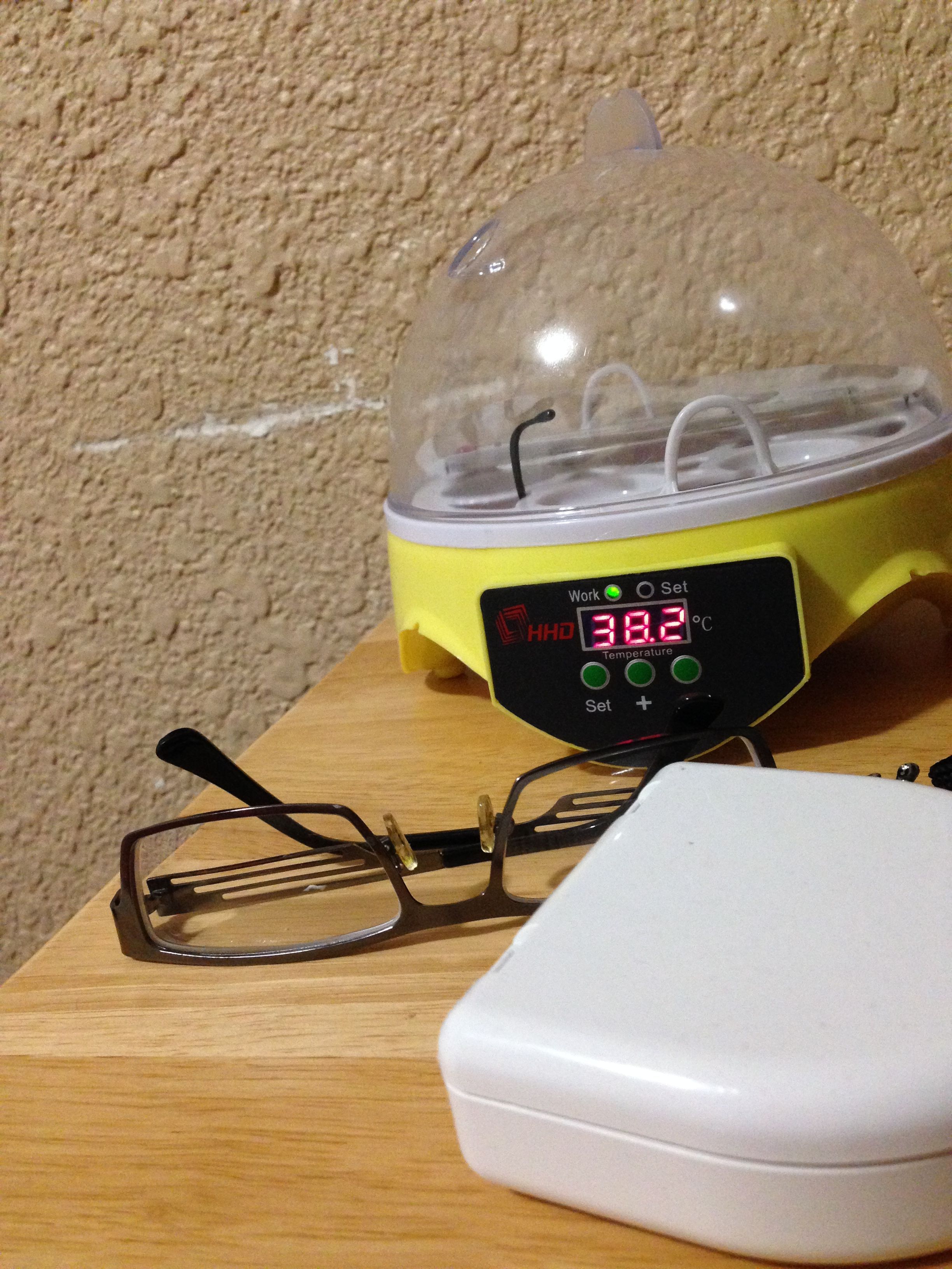 My first incubator!