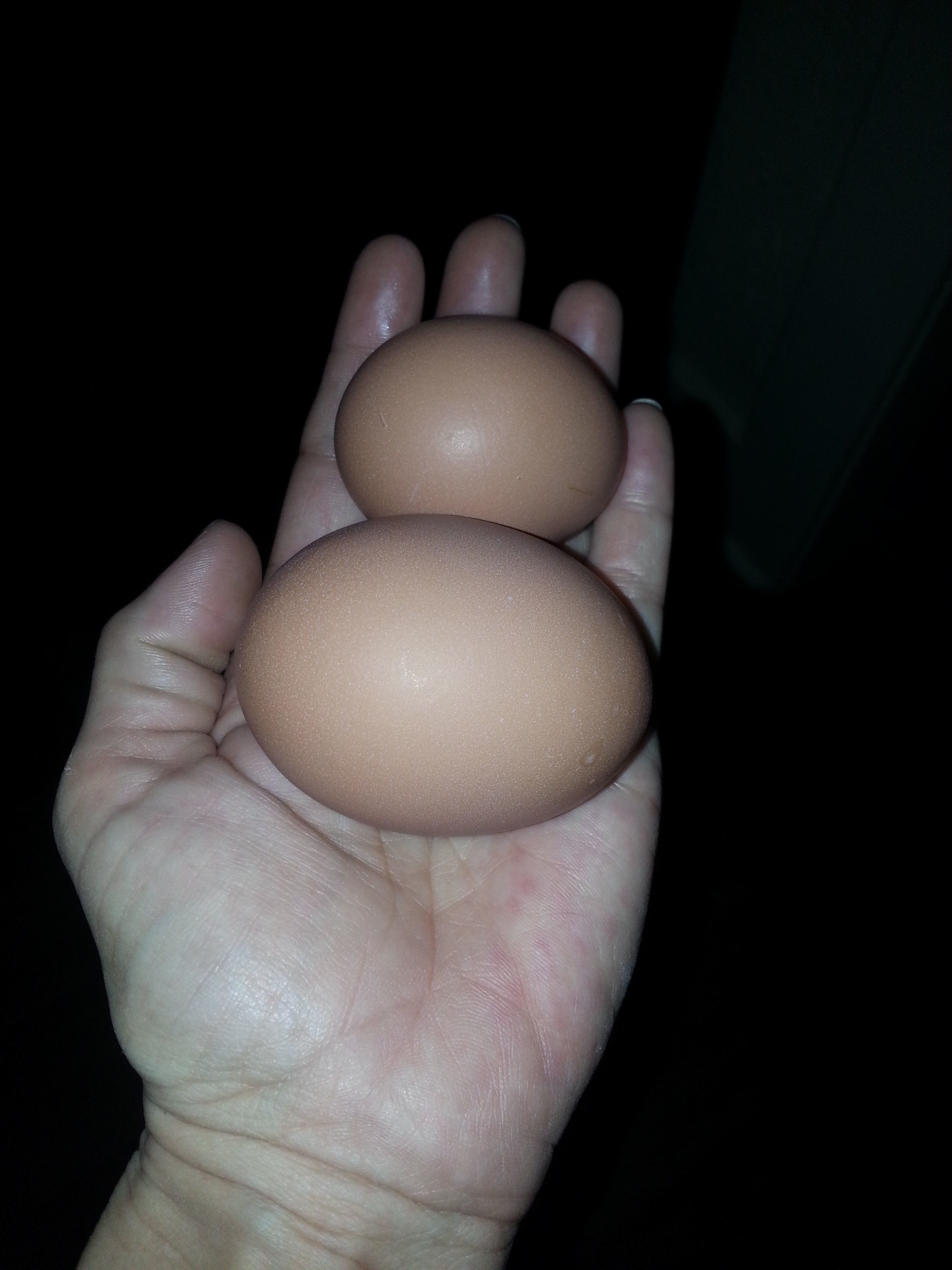 My first jumbo double yolk