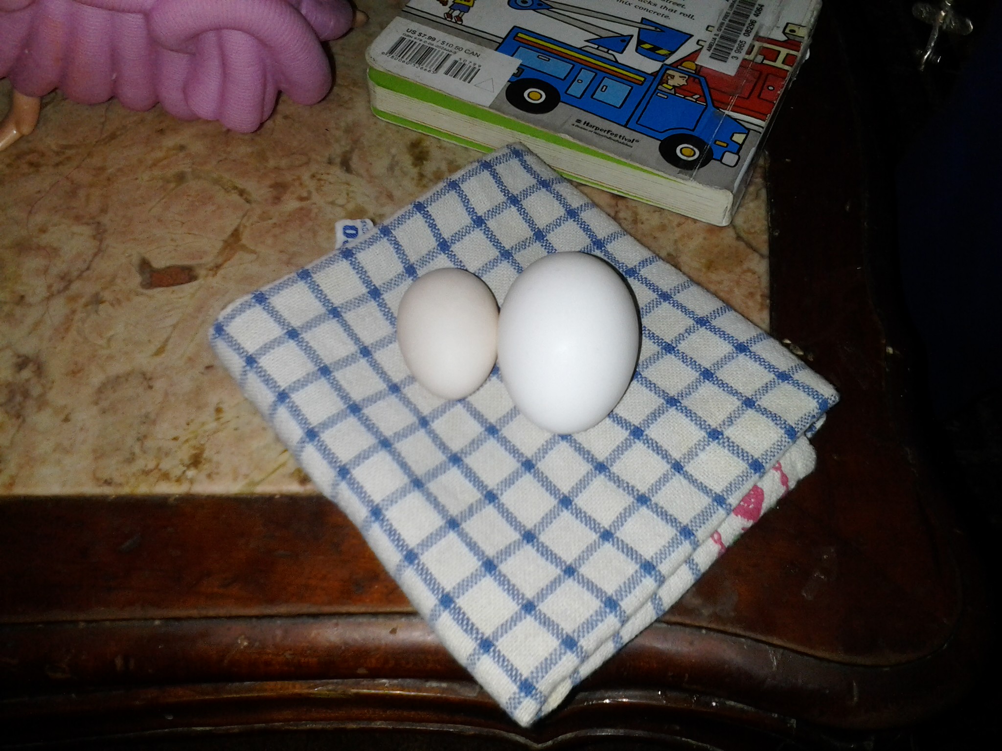 My first silver seabright egg on the left, a store bought large egg on the right.