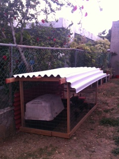 My fixed coop.