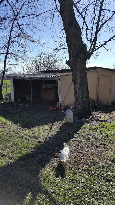 My future chicken coop :)