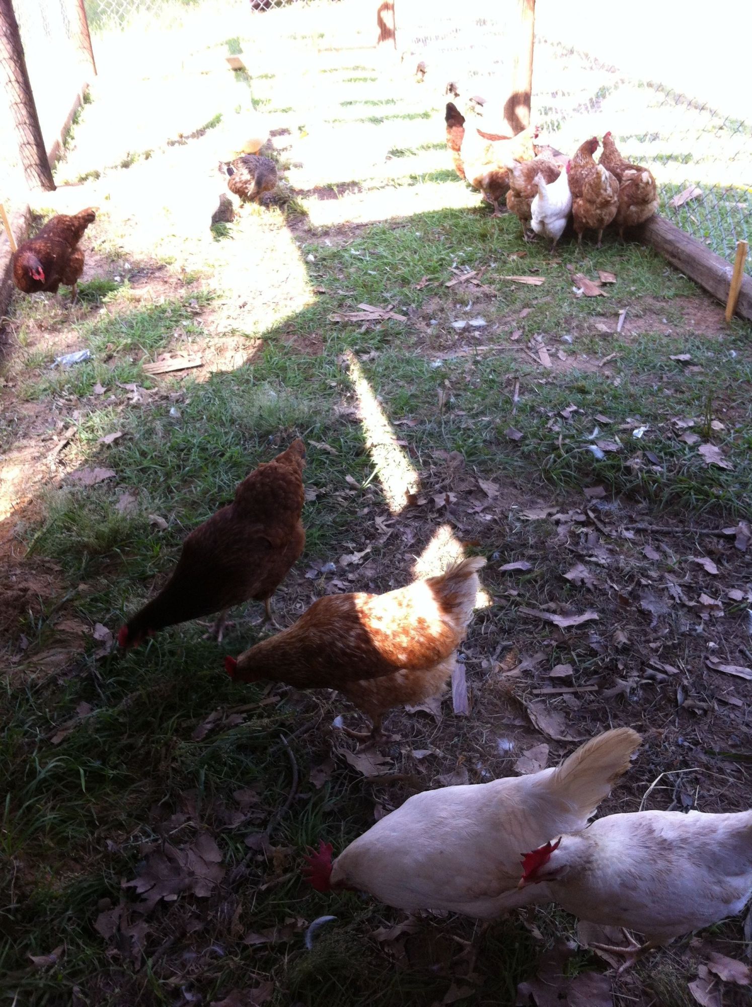 My girls in the new pin :)))