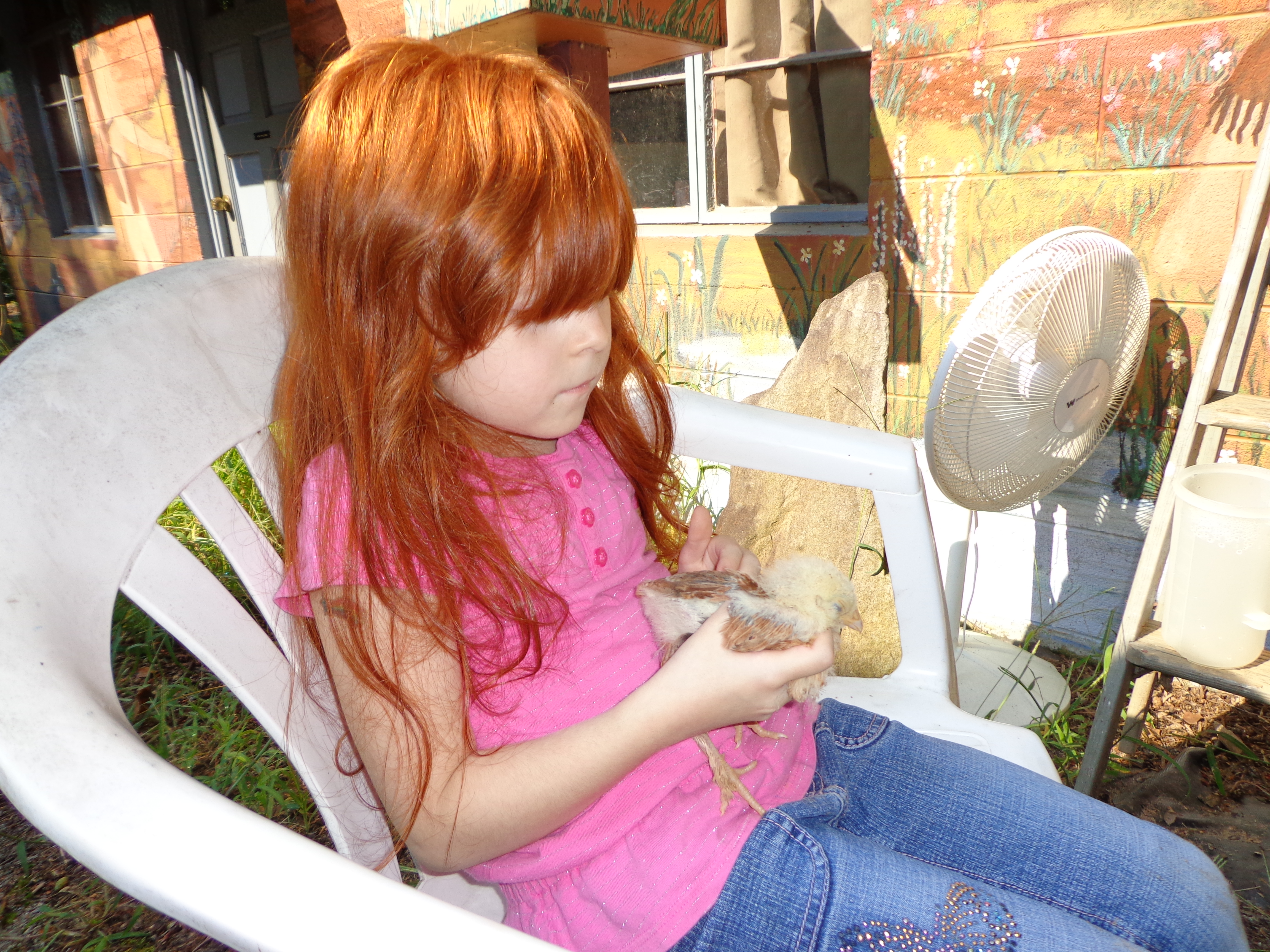 My Grand daughter loves pickens (that's her name for them)